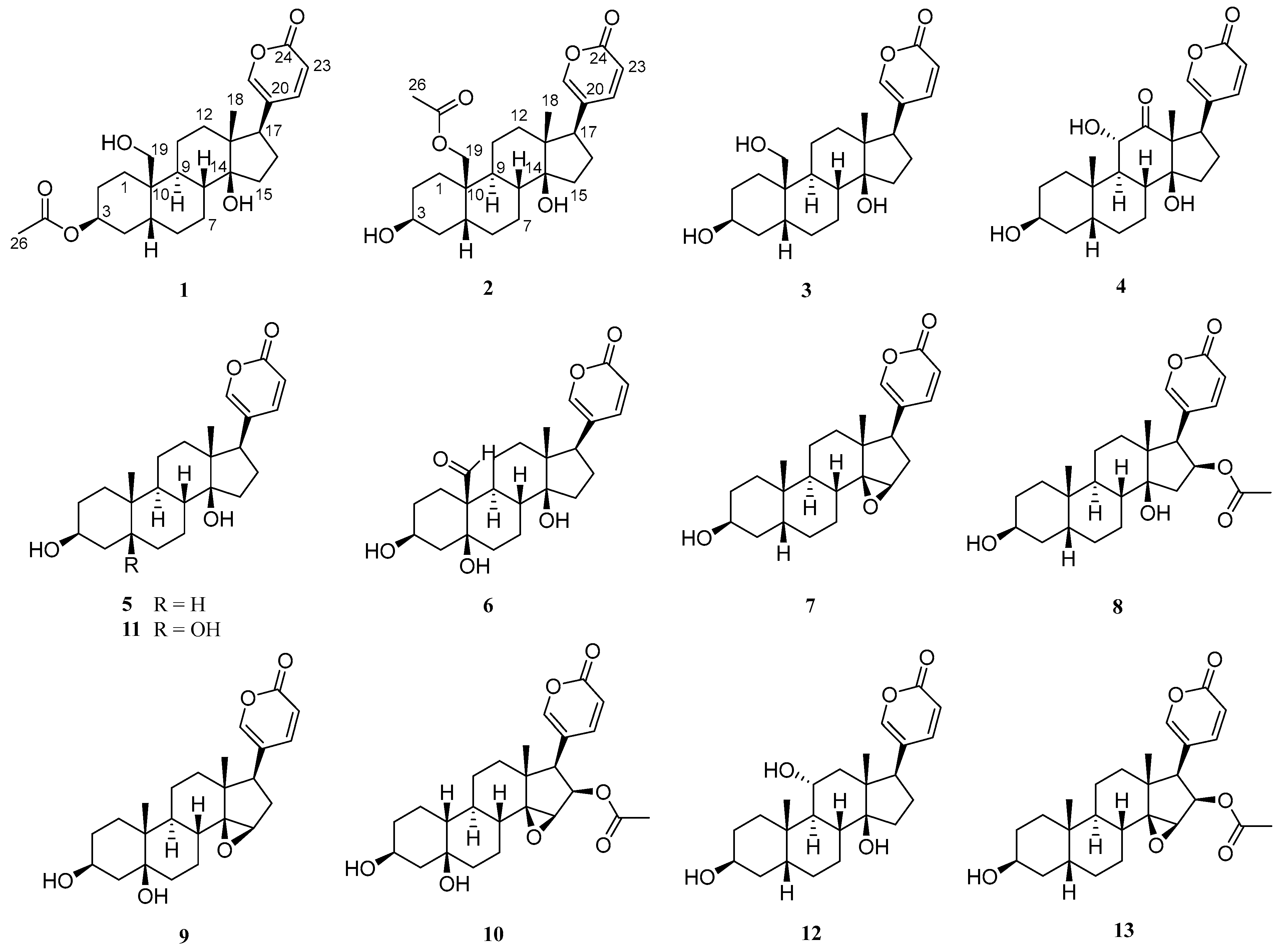 Molecules 29 01571 g001