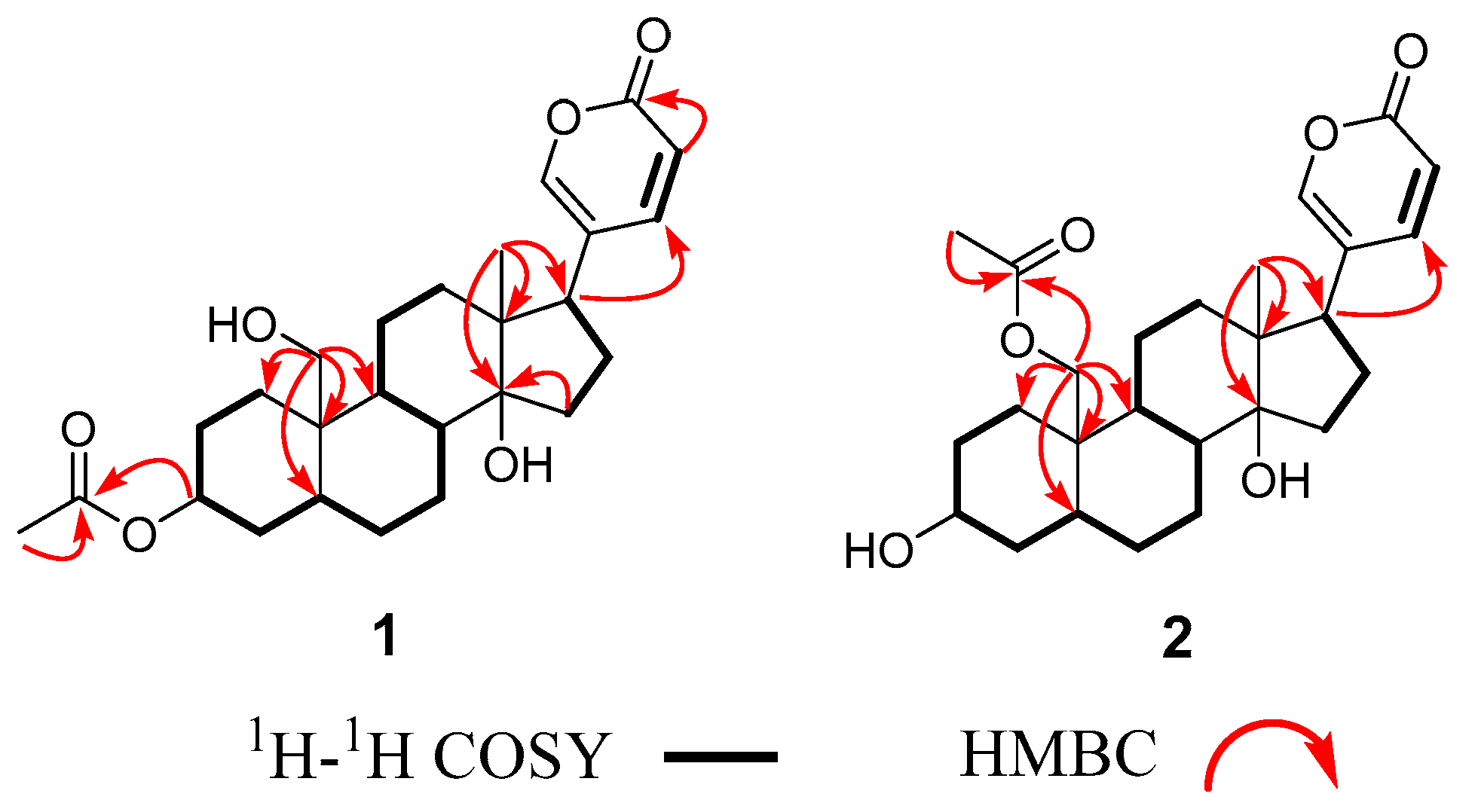 Molecules 29 01571 g002