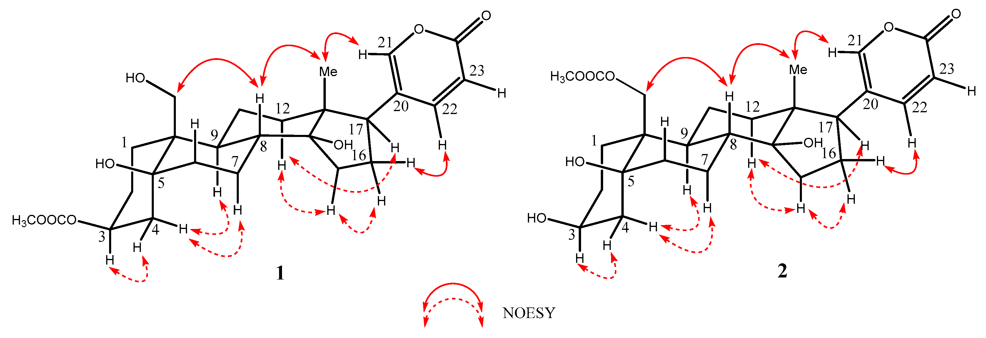 Molecules 29 01571 g003