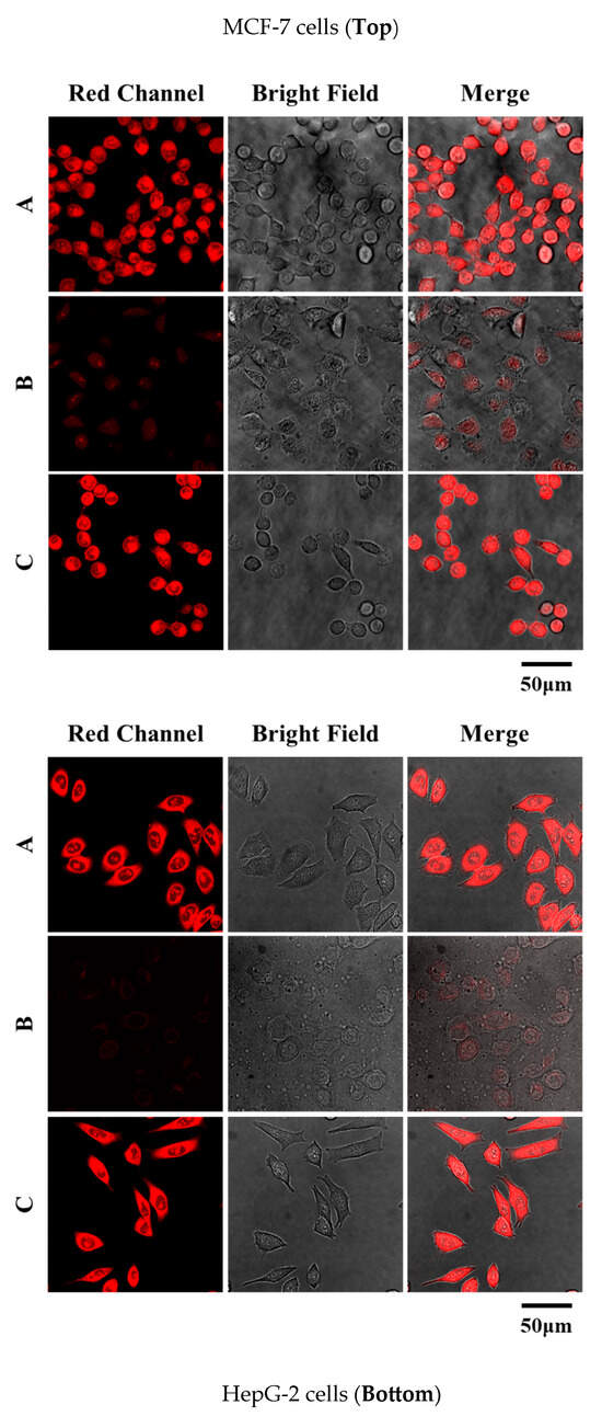 レゾナンス　396 The Druggability of Solute Carriers | Journal of Medicinal