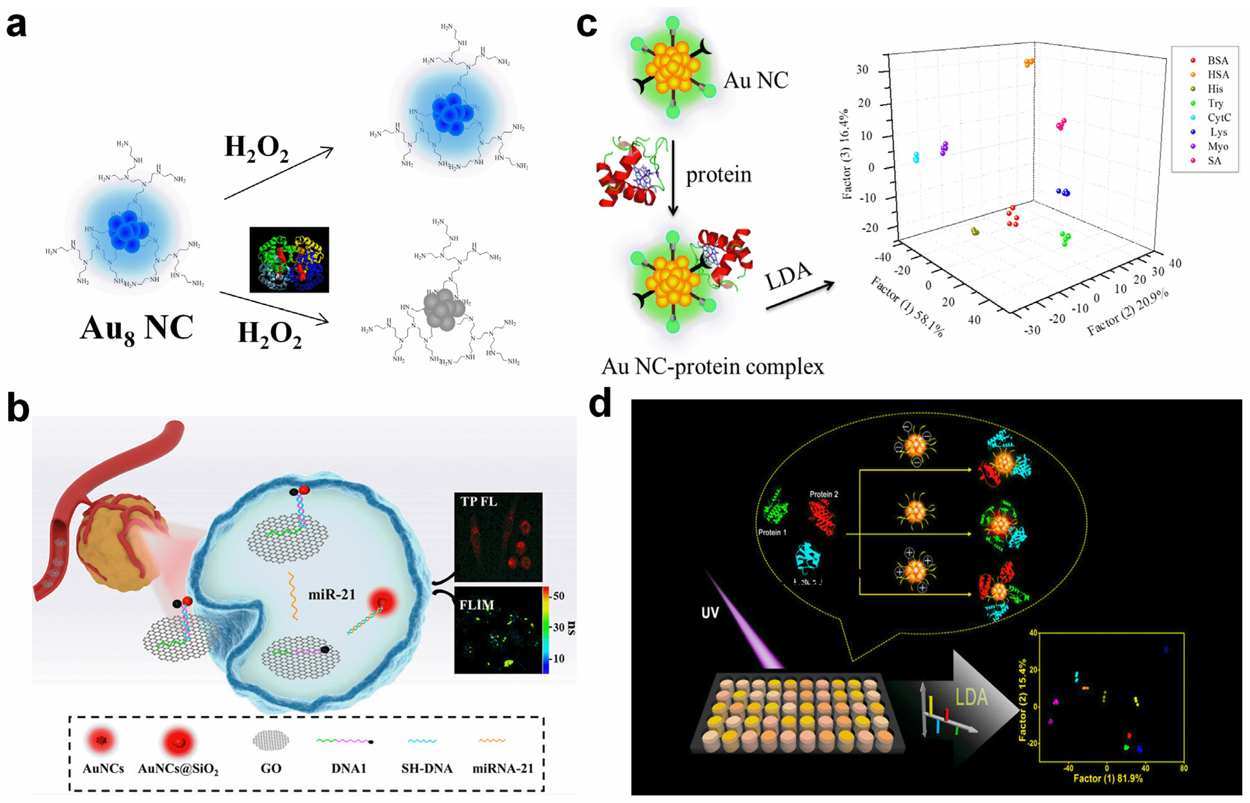 Molecules 29 01574 g004