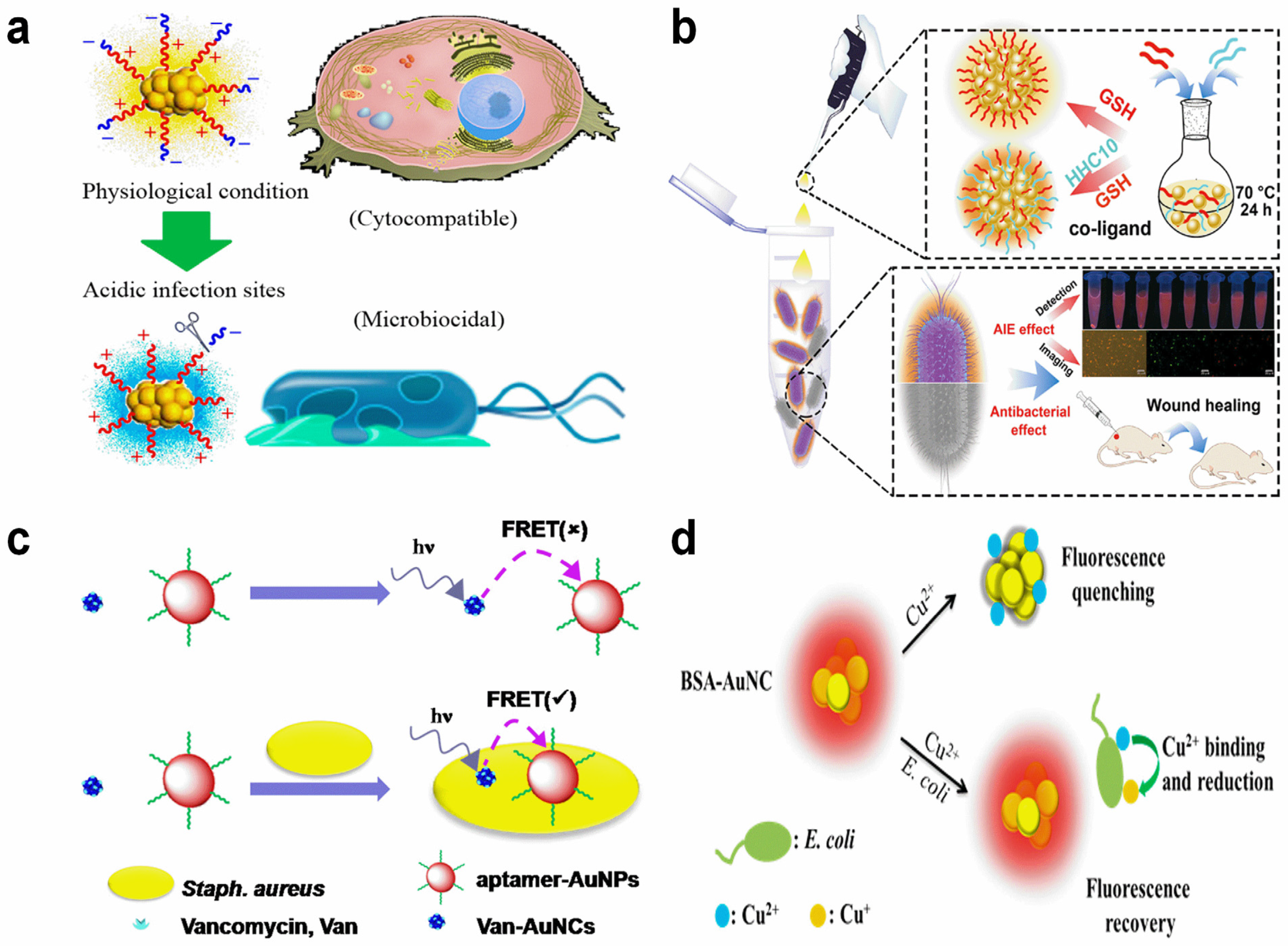 Molecules 29 01574 g005