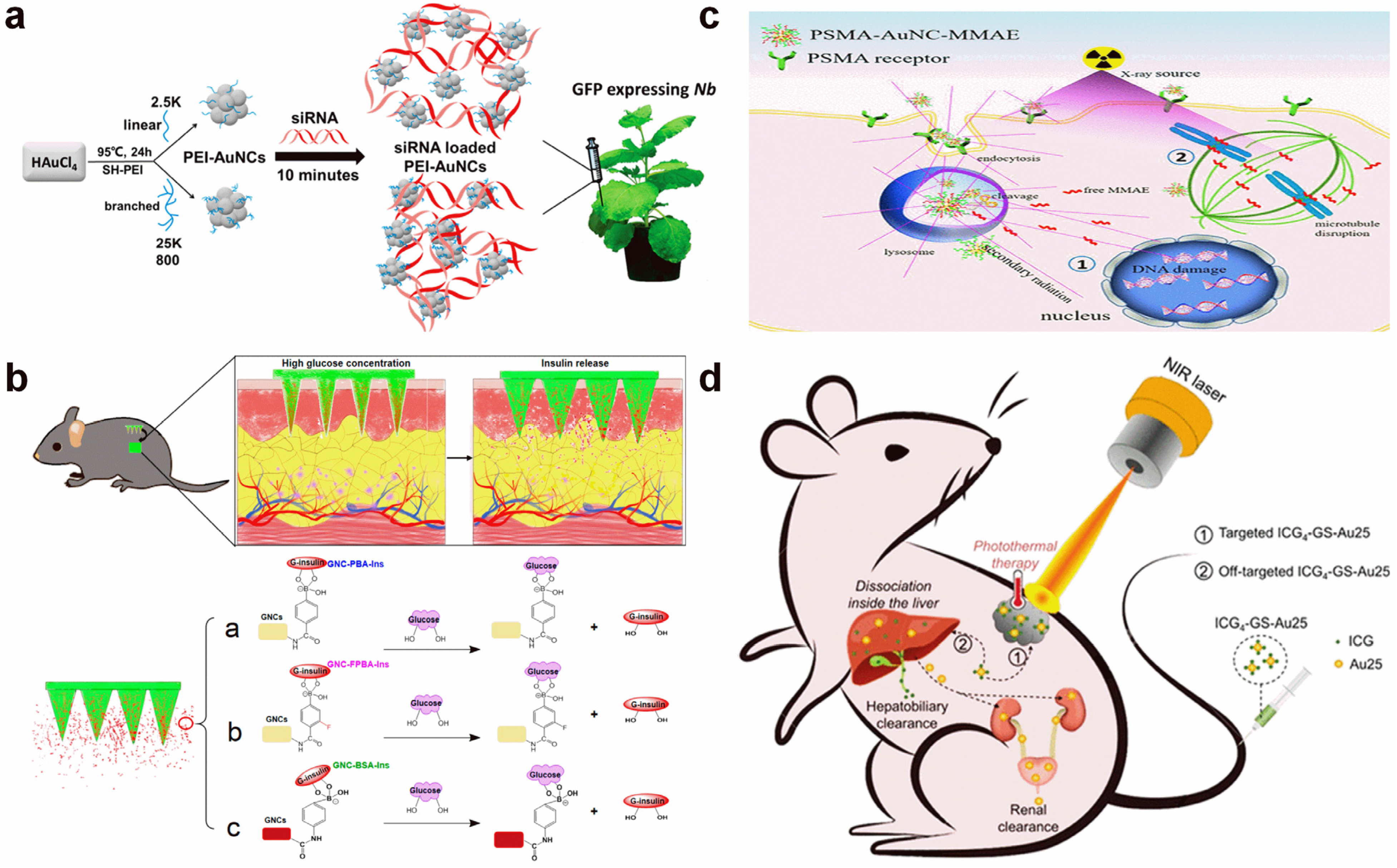 Molecules 29 01574 g007