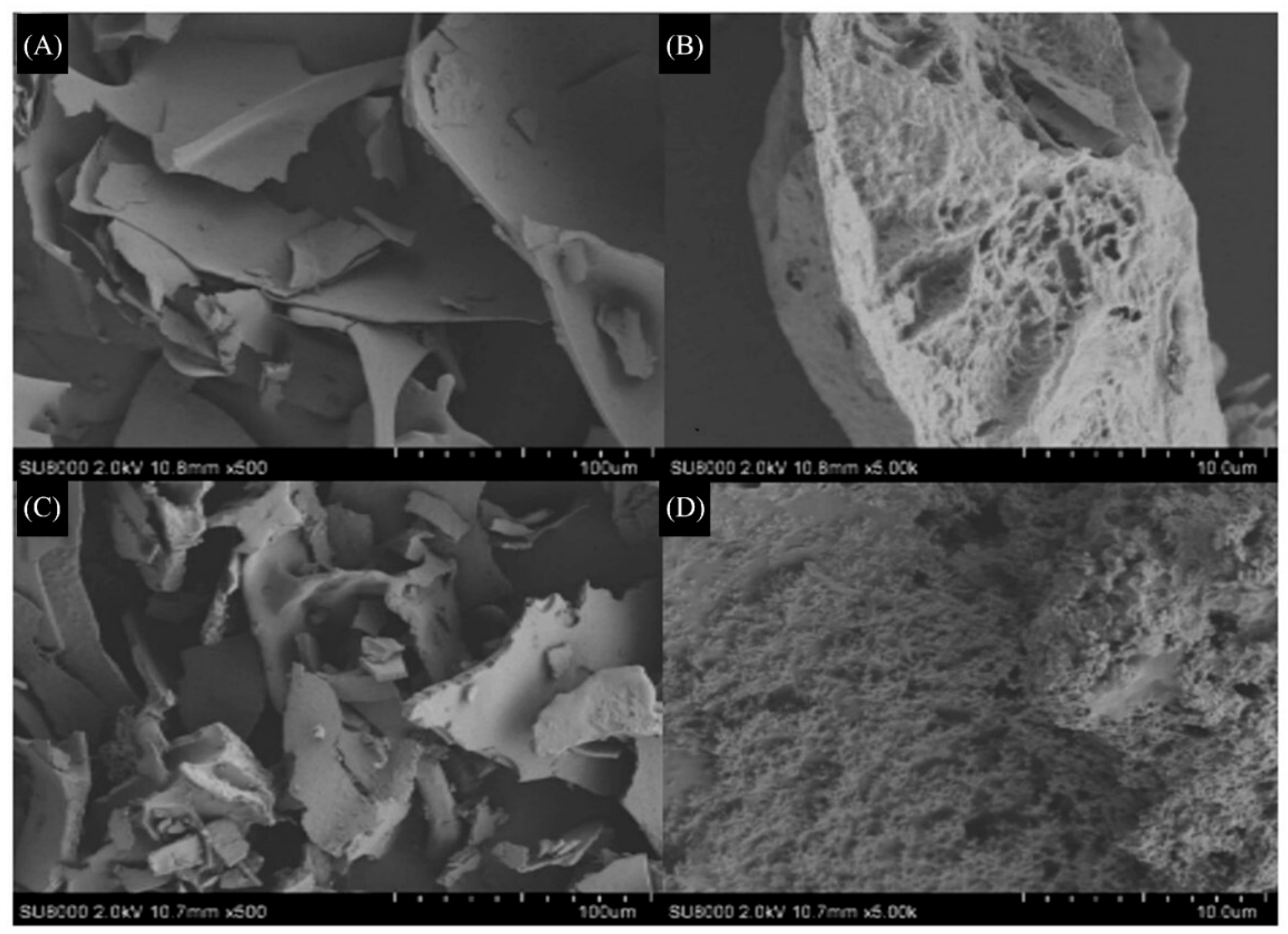 Molecules 29 01576 g004