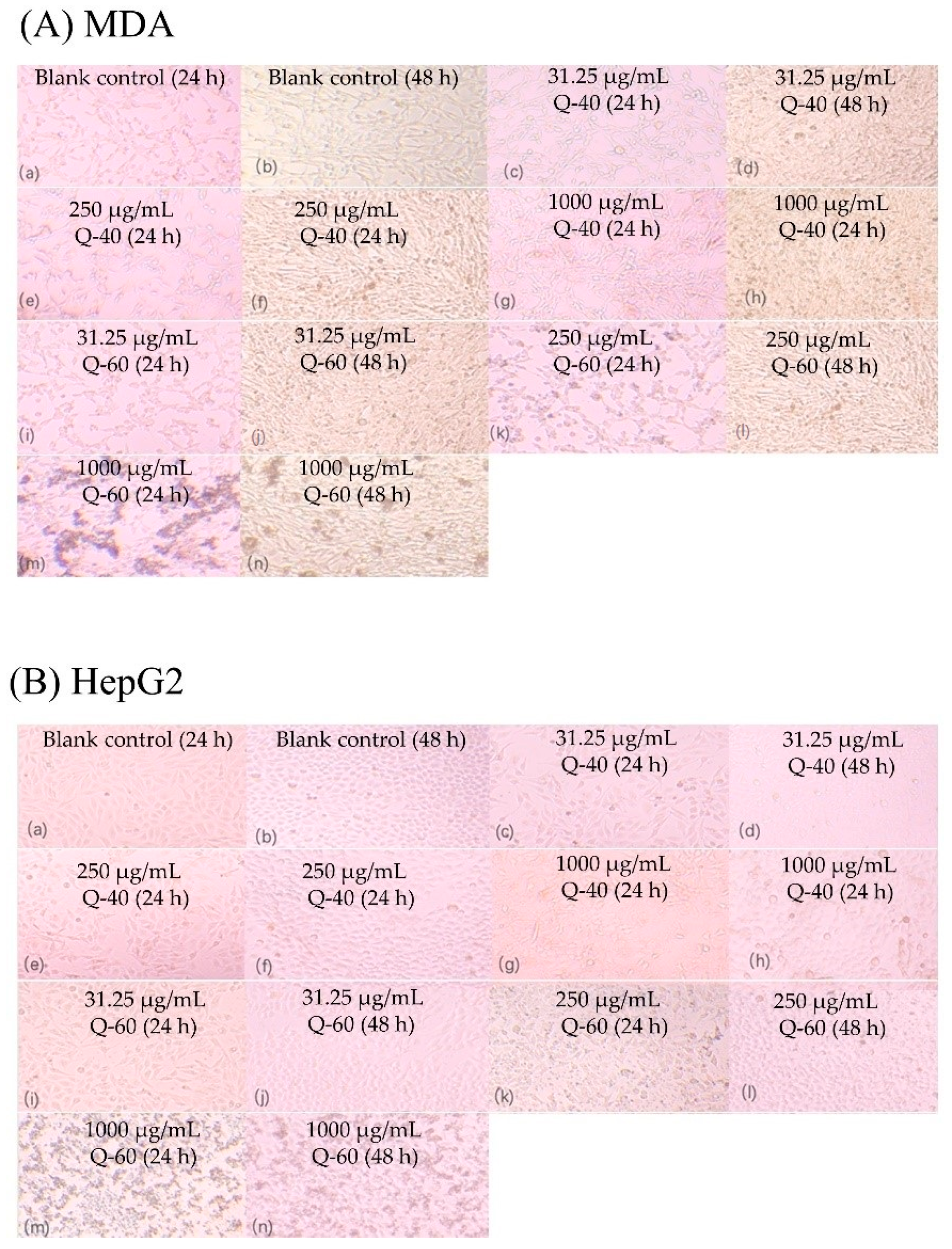 Molecules 29 01576 g007