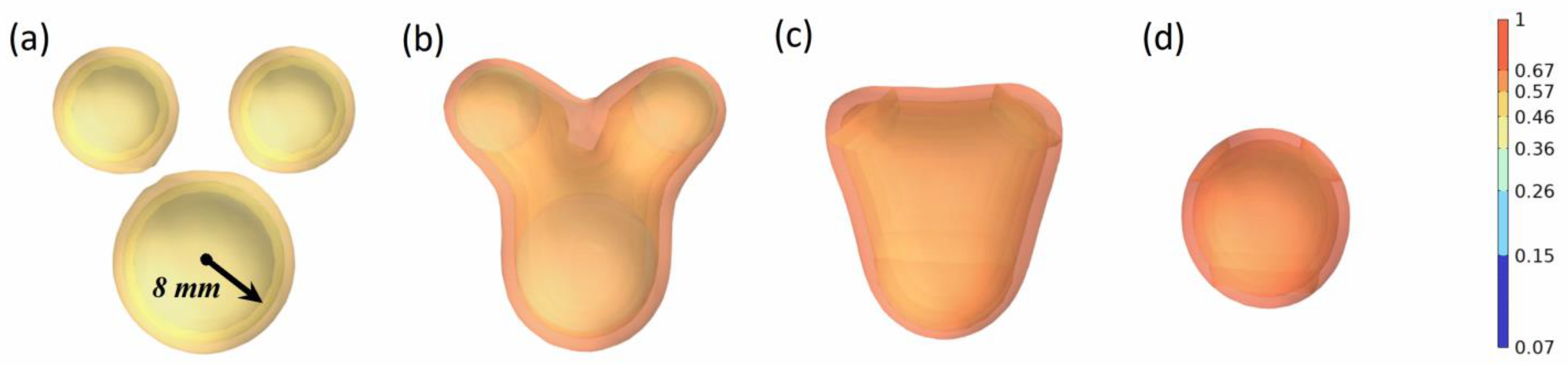 Molecules 29 01582 g004