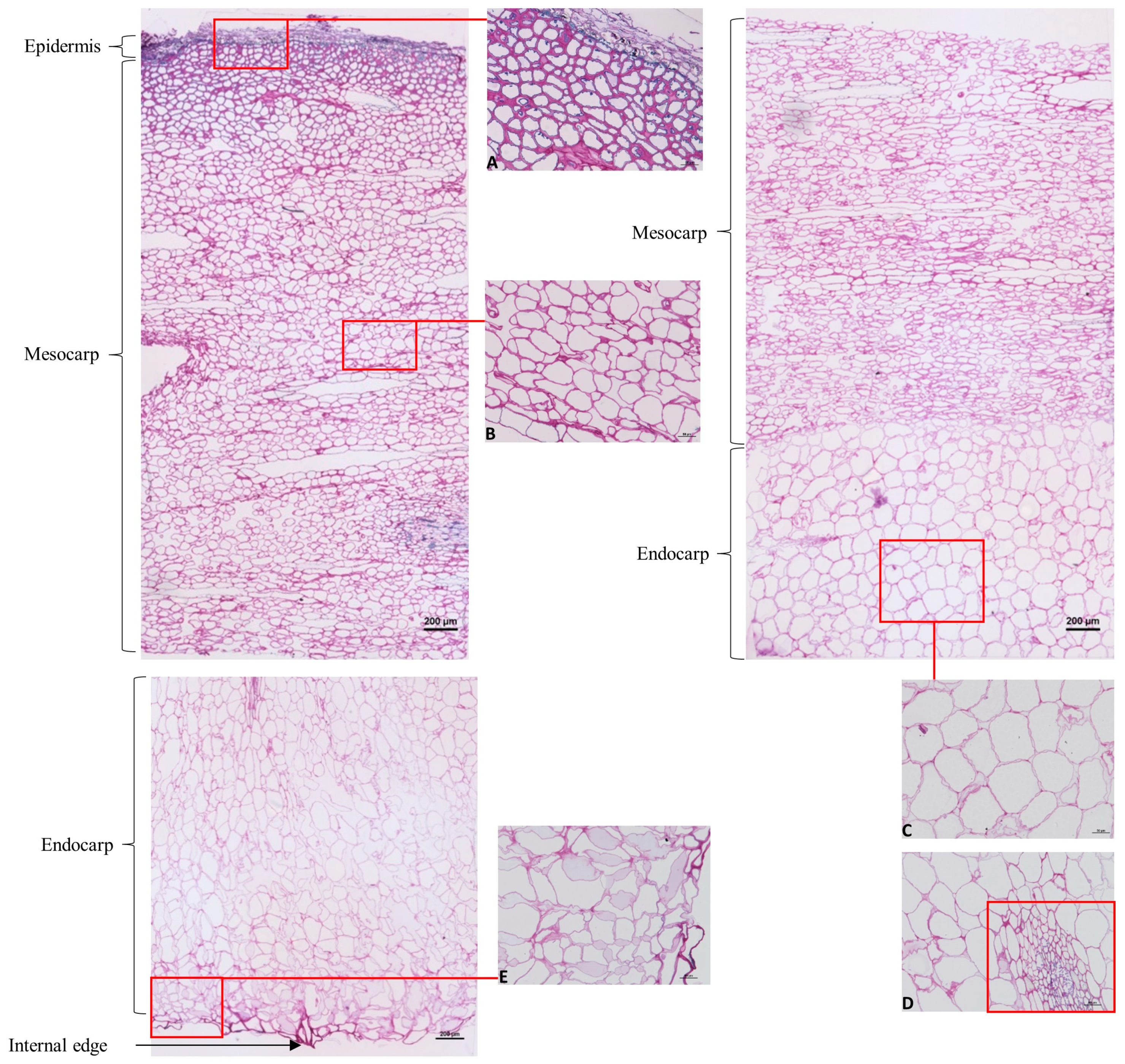 Molecules 29 01596 g001
