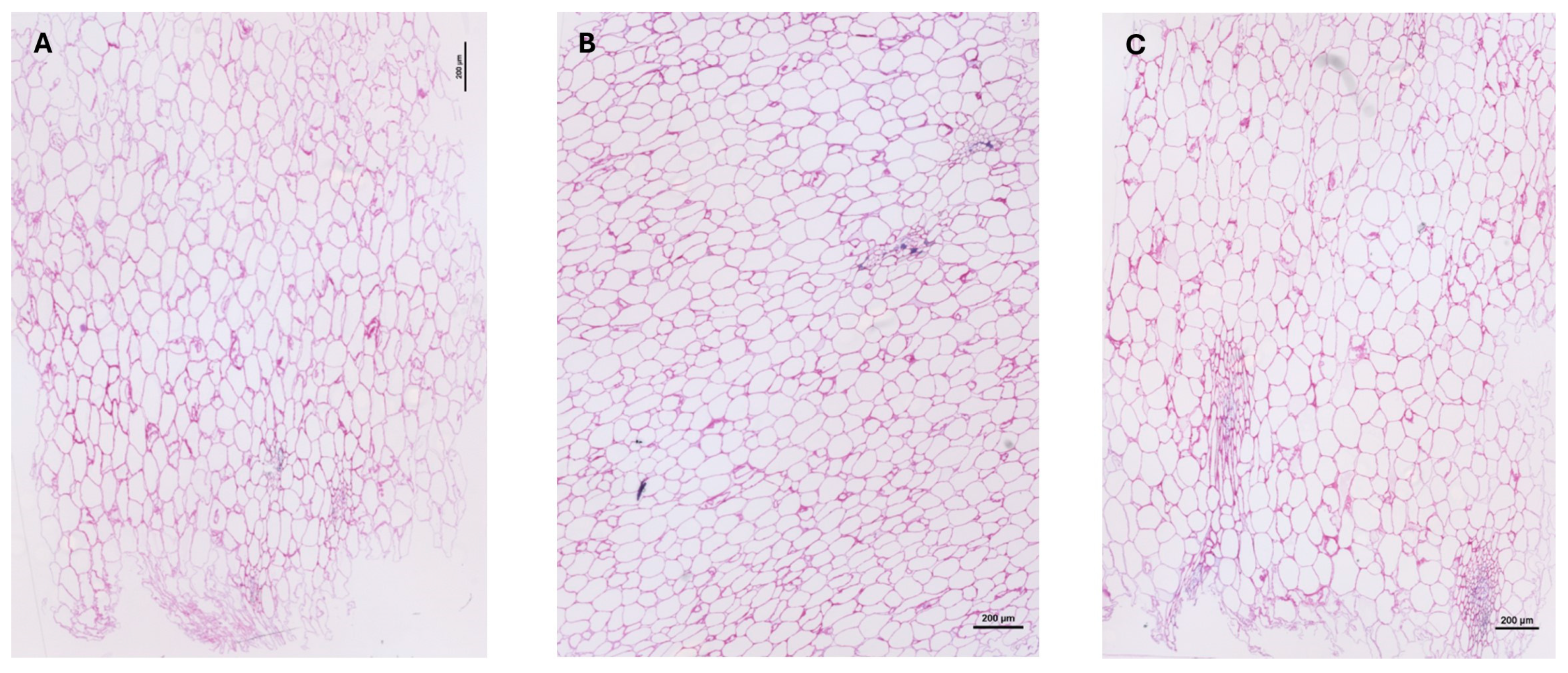 Molecules 29 01596 g002