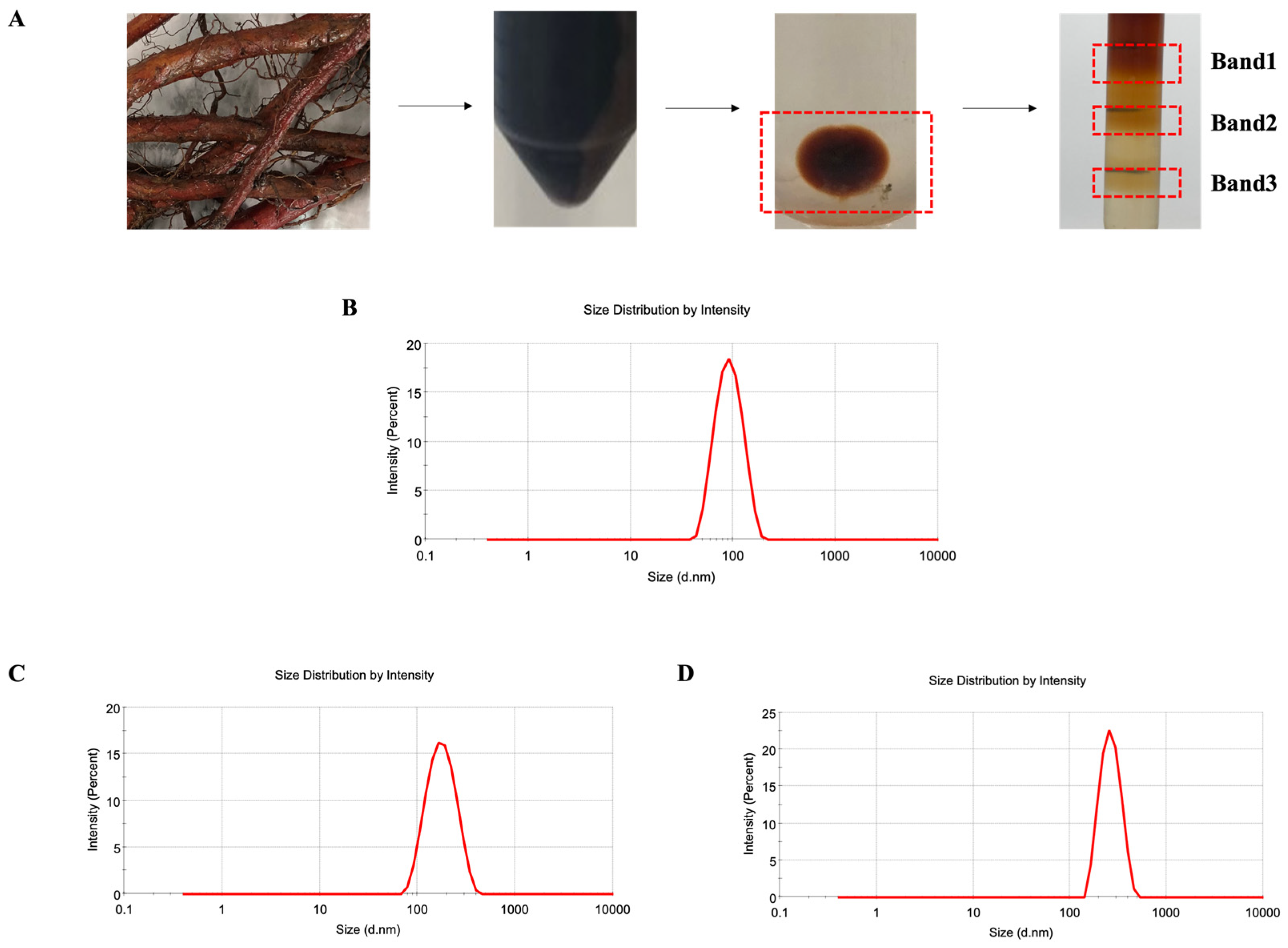Molecules 29 01599 g001