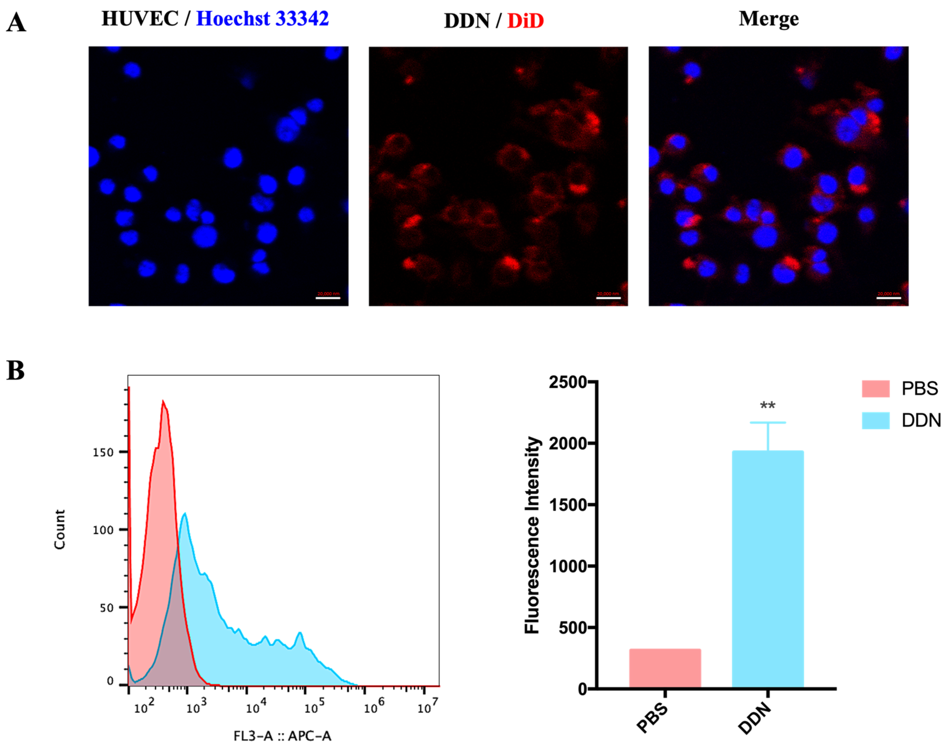 Molecules 29 01599 g003