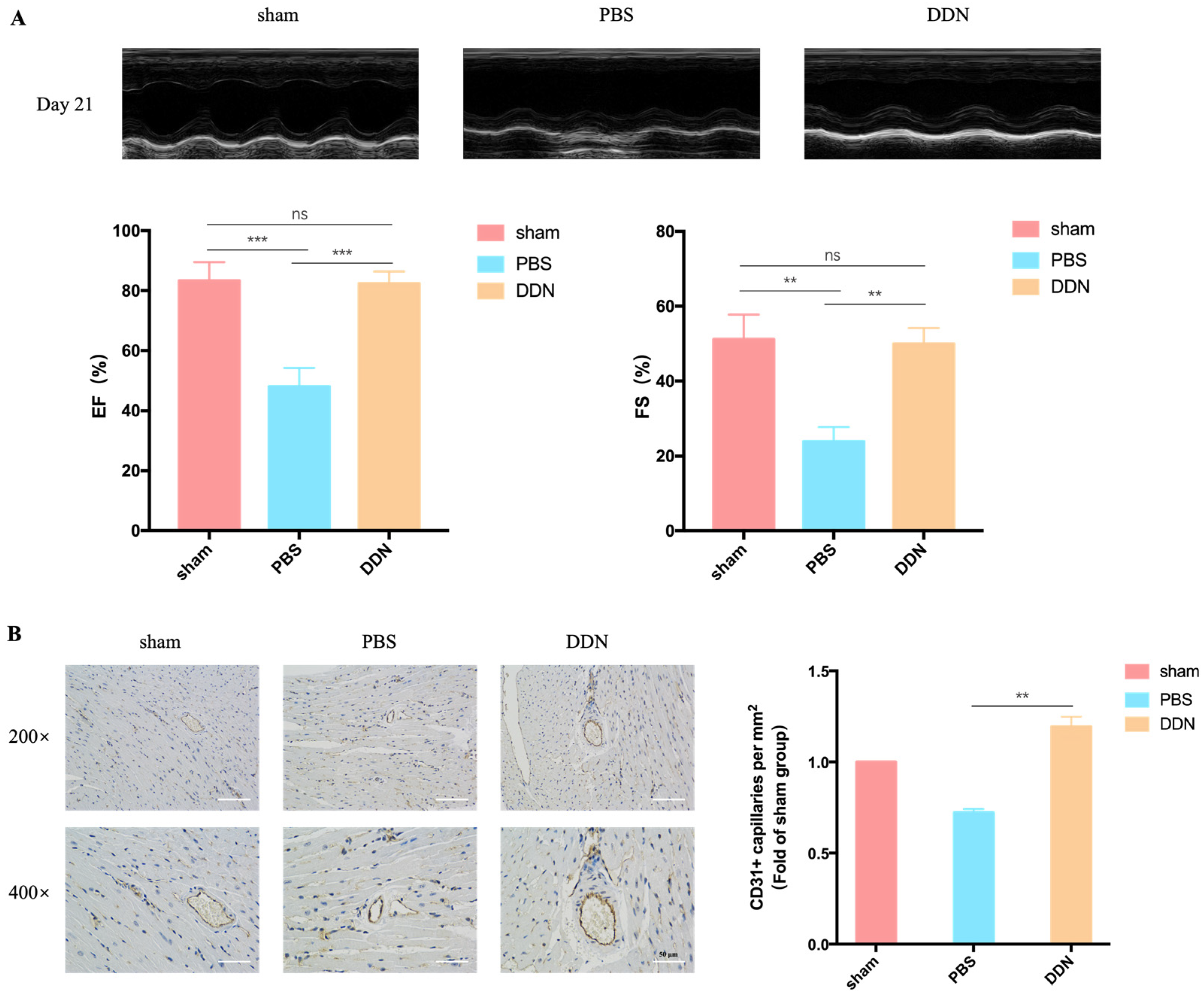 Molecules 29 01599 g005