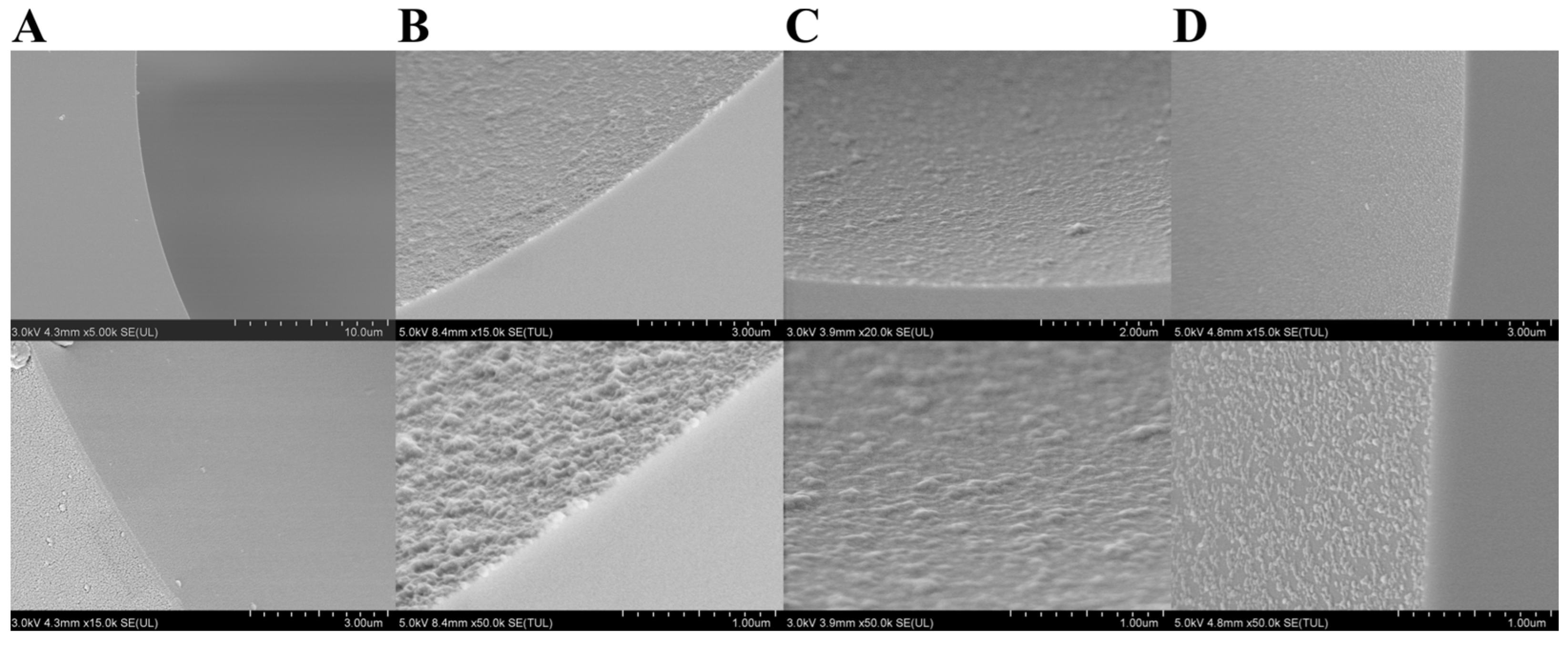 Molecules 29 01600 g002