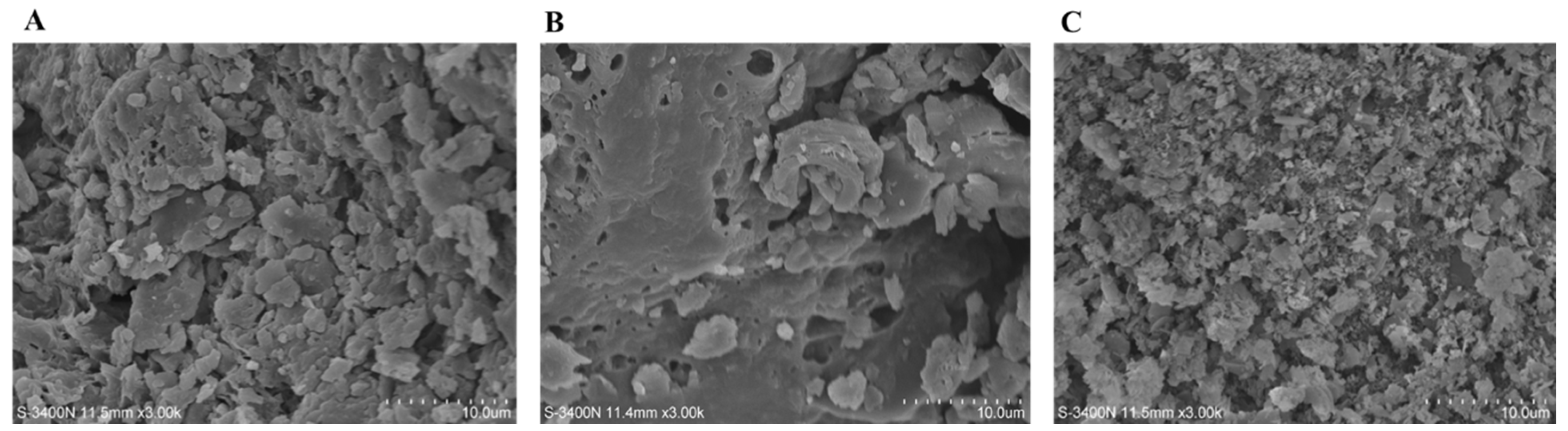 Molecules 29 01603 g004