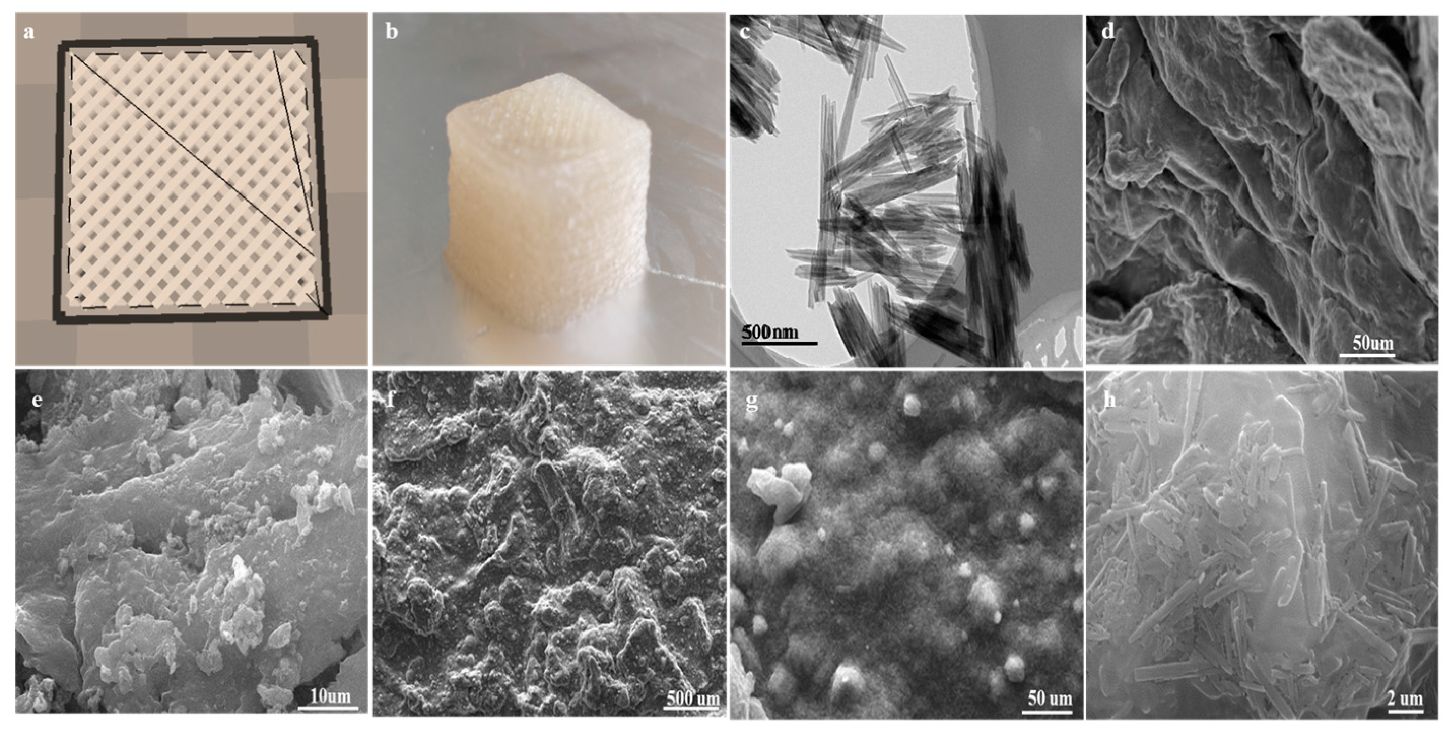 Molecules 29 01609 g001