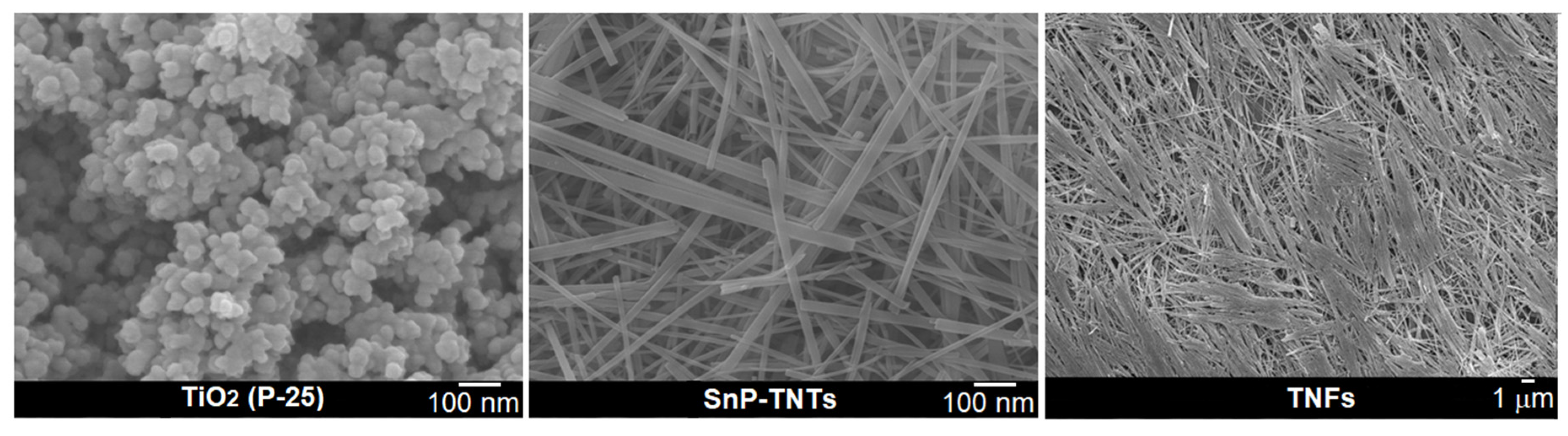 Molecules 29 01612 g005