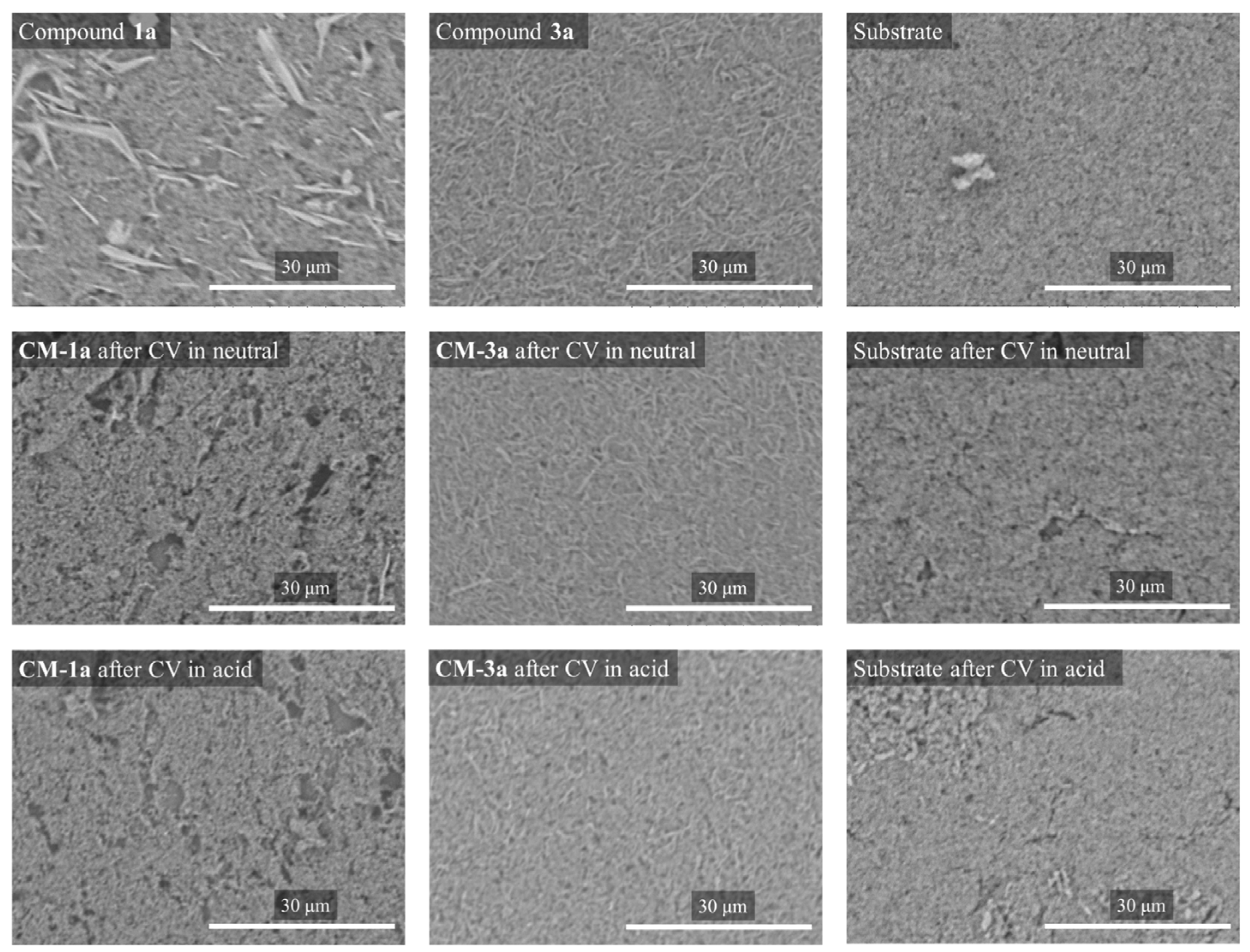 Molecules 29 01613 g008