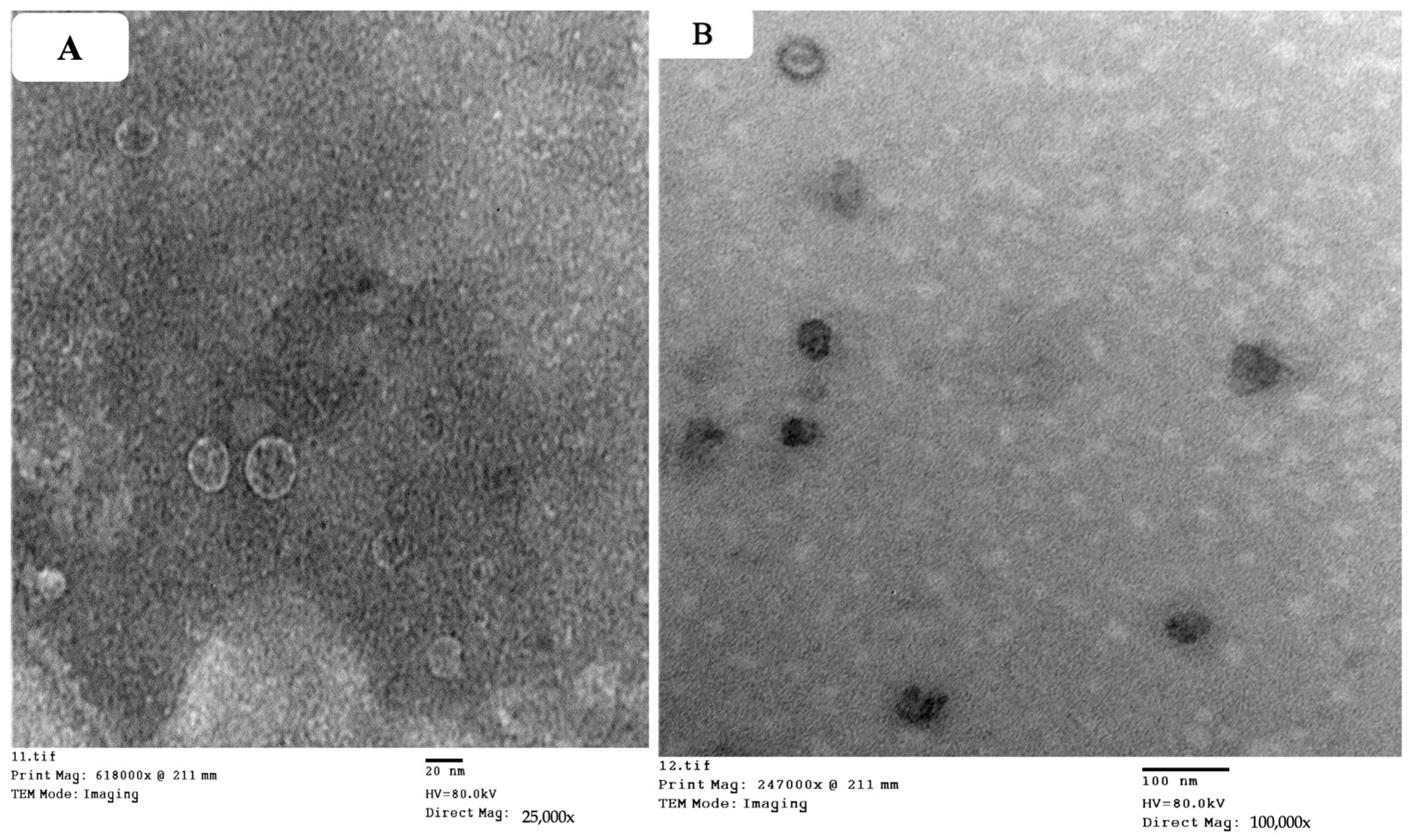 Molecules 29 01614 g003