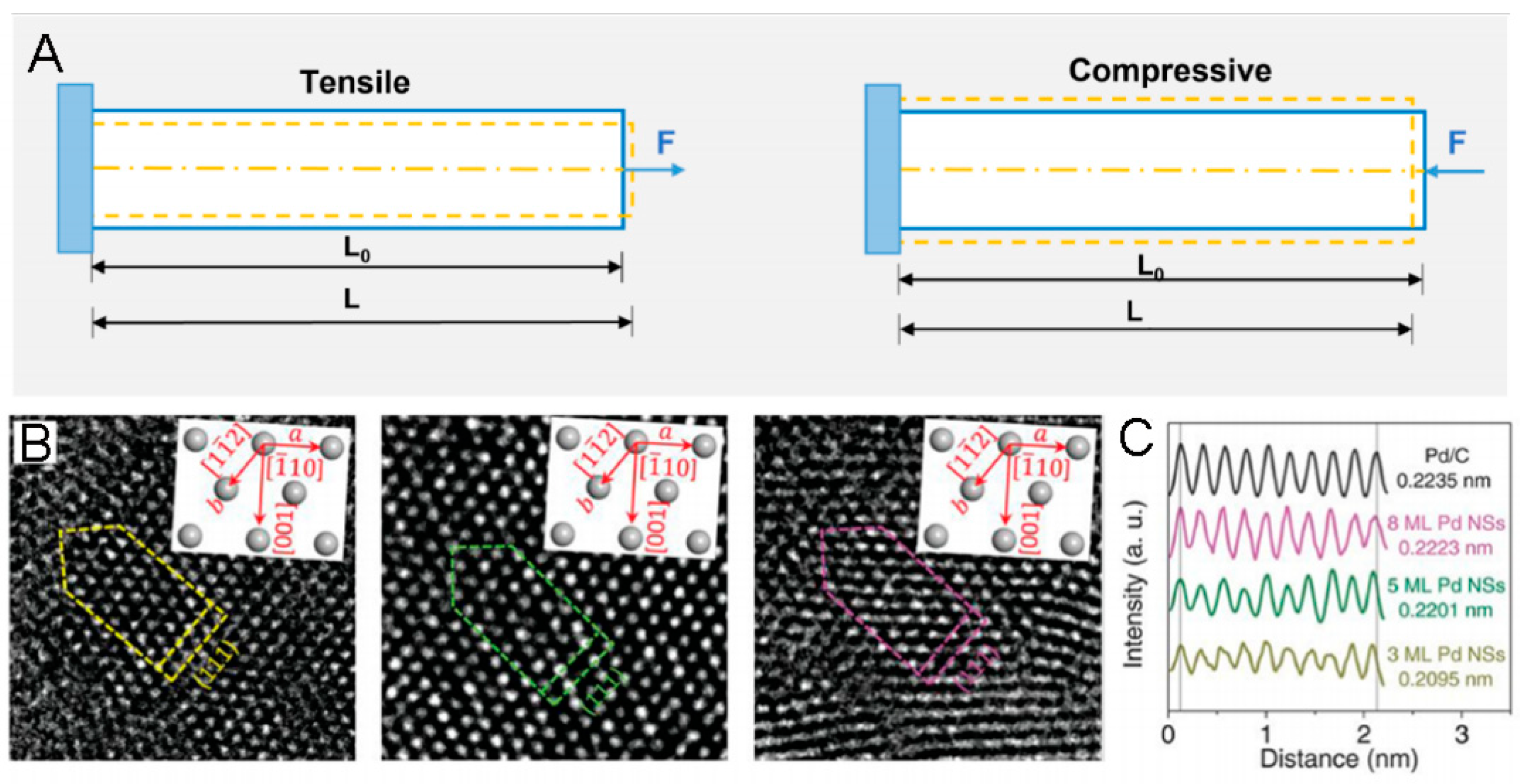 Molecules 29 01617 g001
