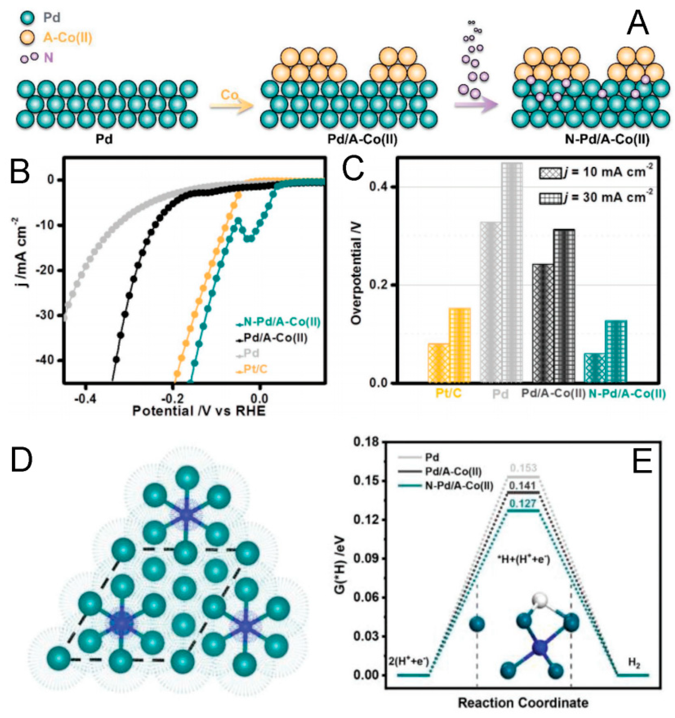 Molecules 29 01617 g003