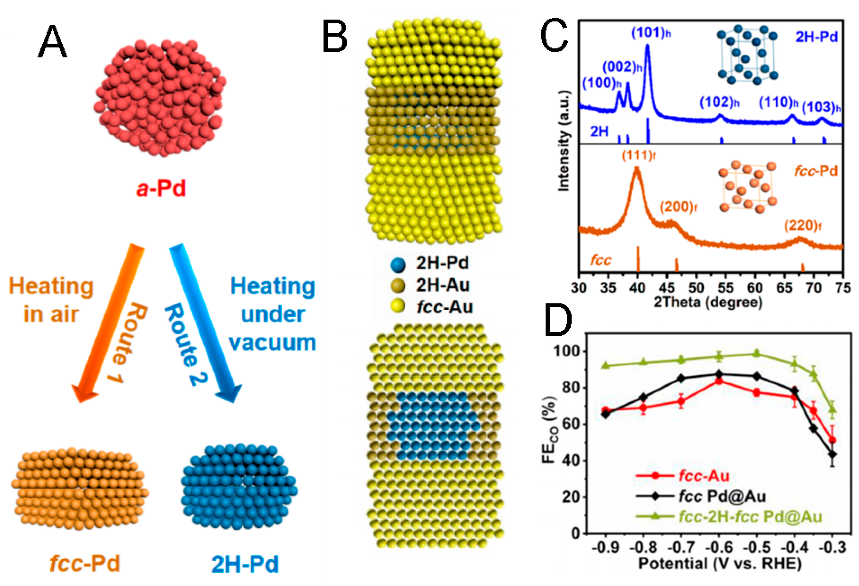 Molecules 29 01617 g004