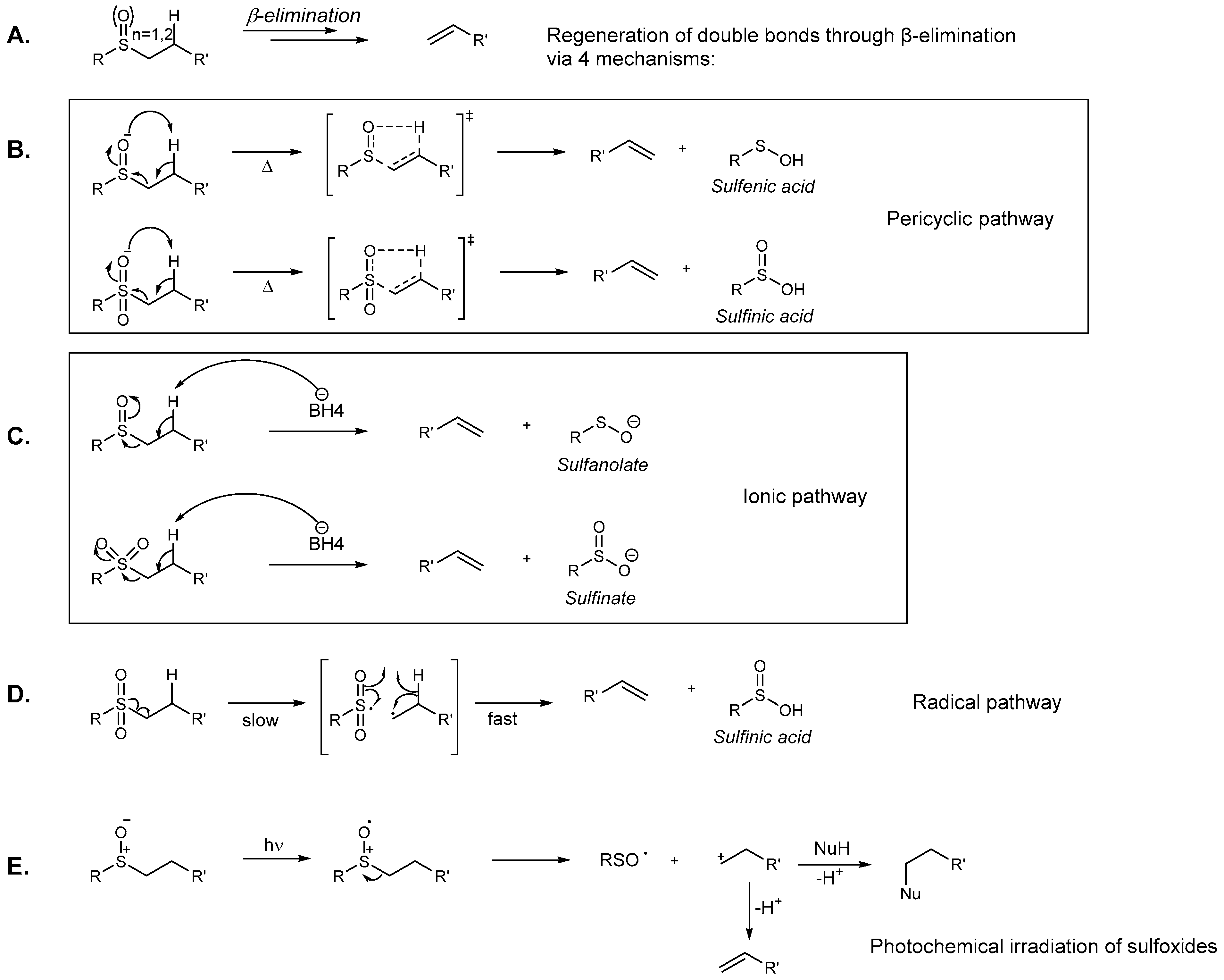 Molecules 29 01620 sch003