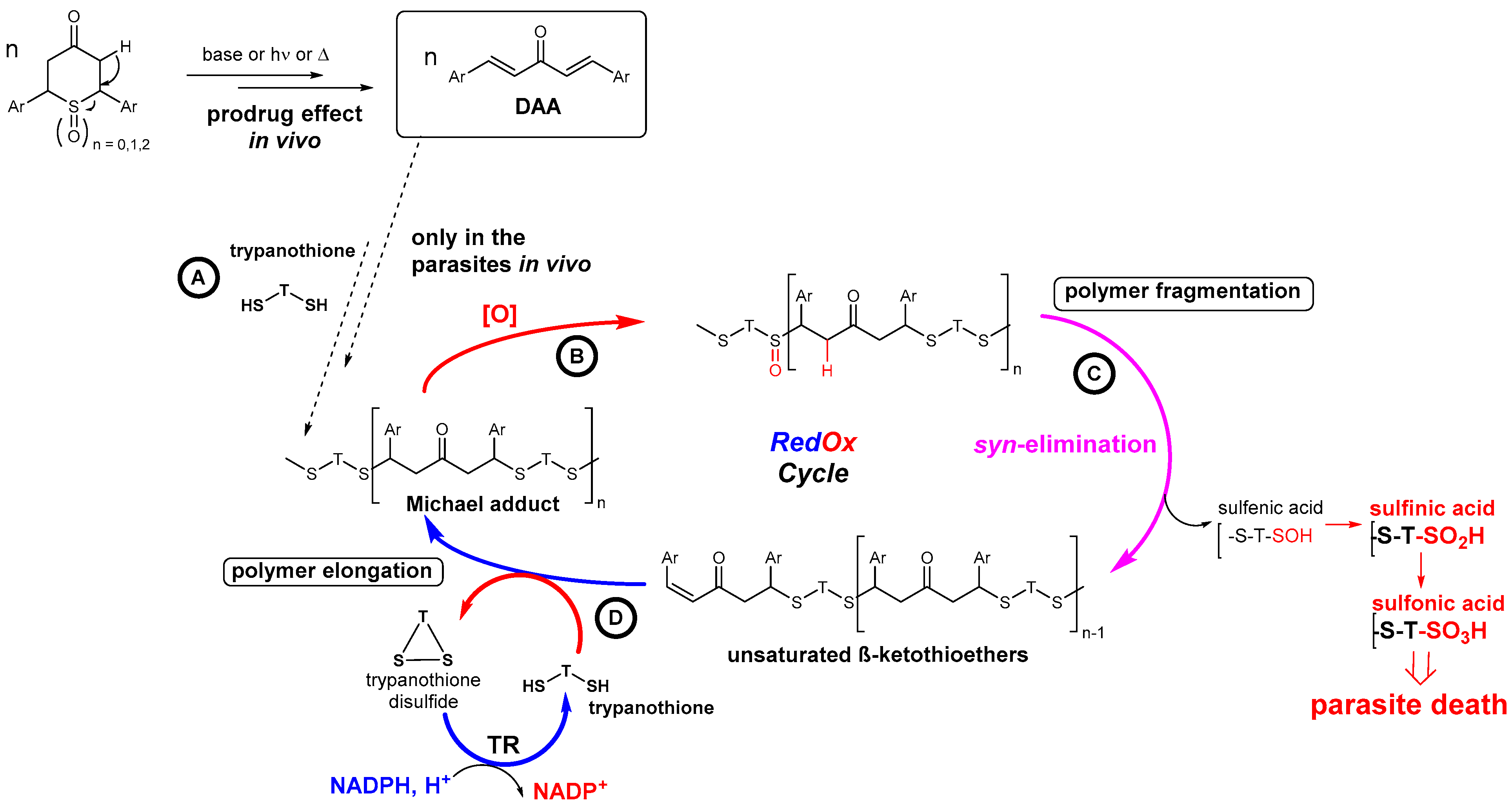 Molecules 29 01620 sch007