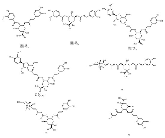 Plant-Derived Caffeic Acid and Its Derivatives: An Overview