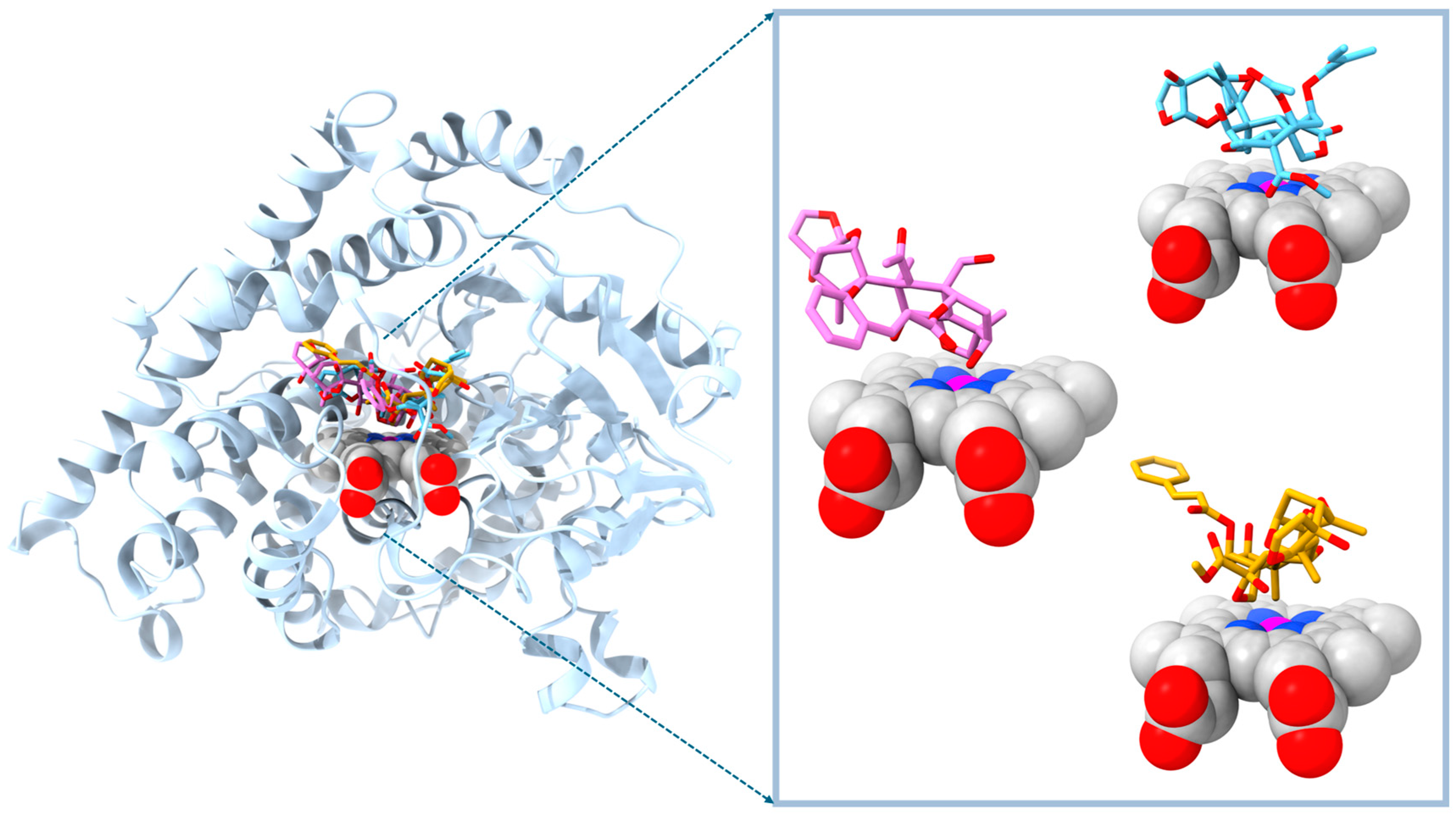 Molecules 29 01628 g005