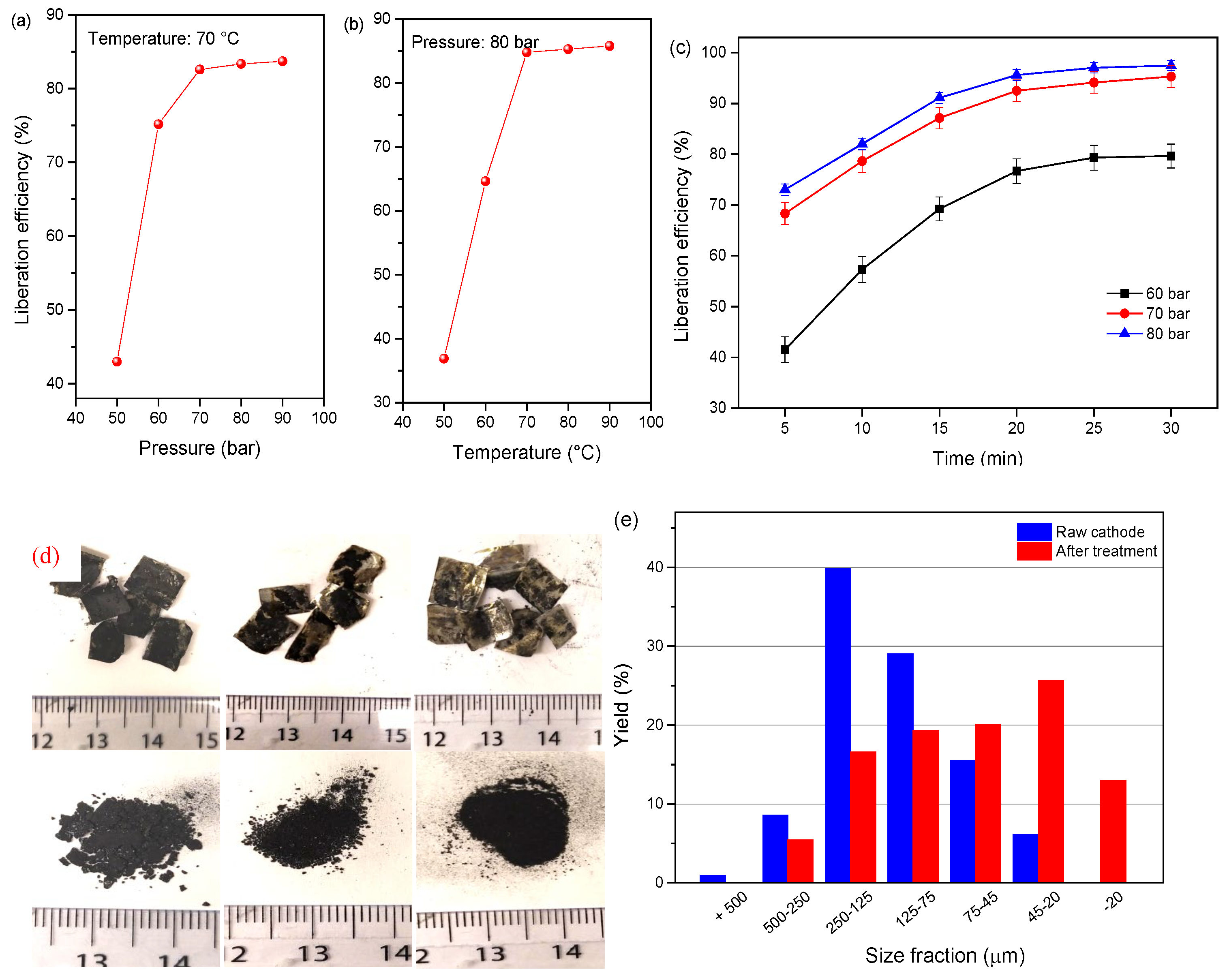 Molecules 29 01638 g006