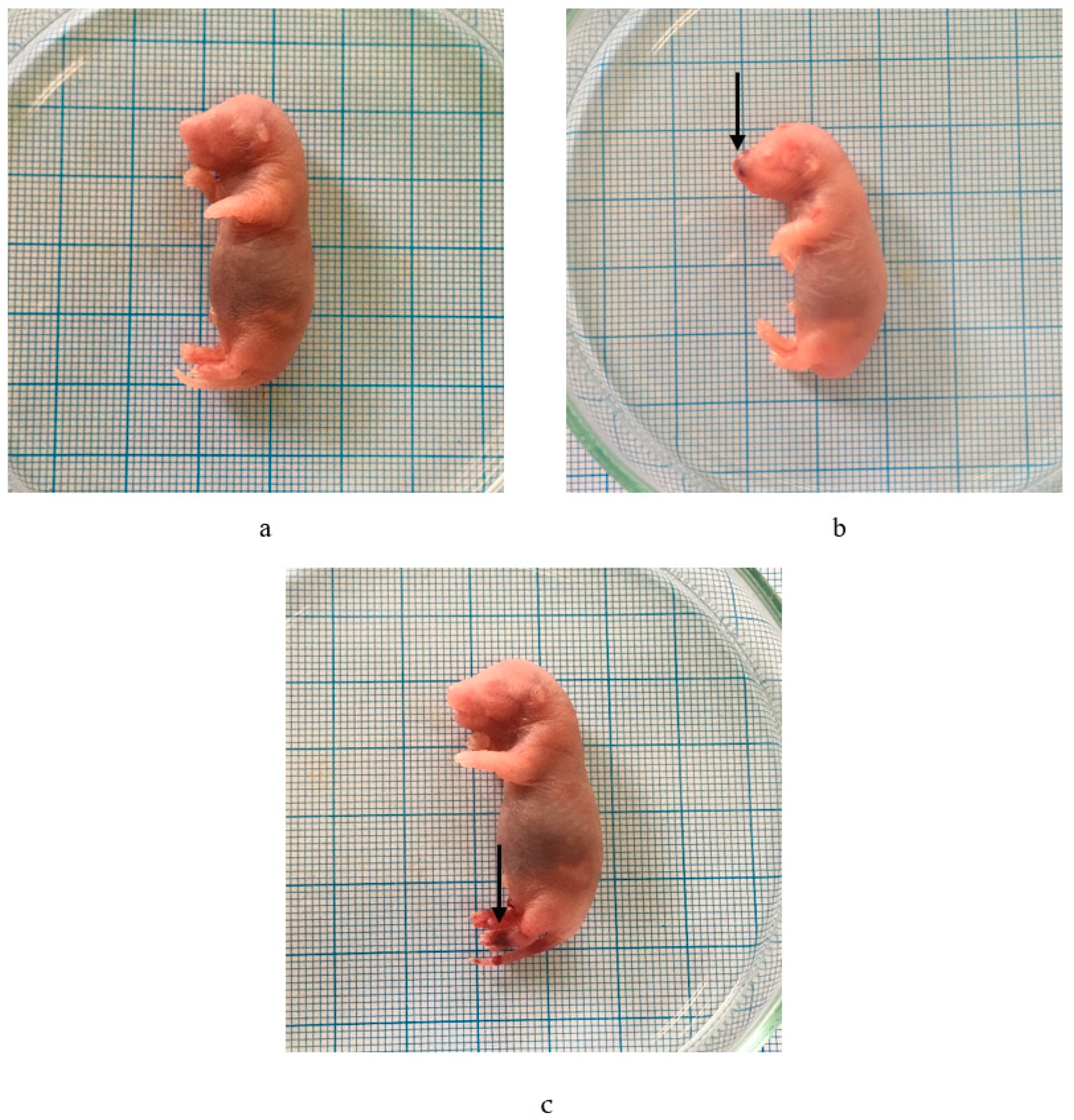 Molecules 29 01642 g003