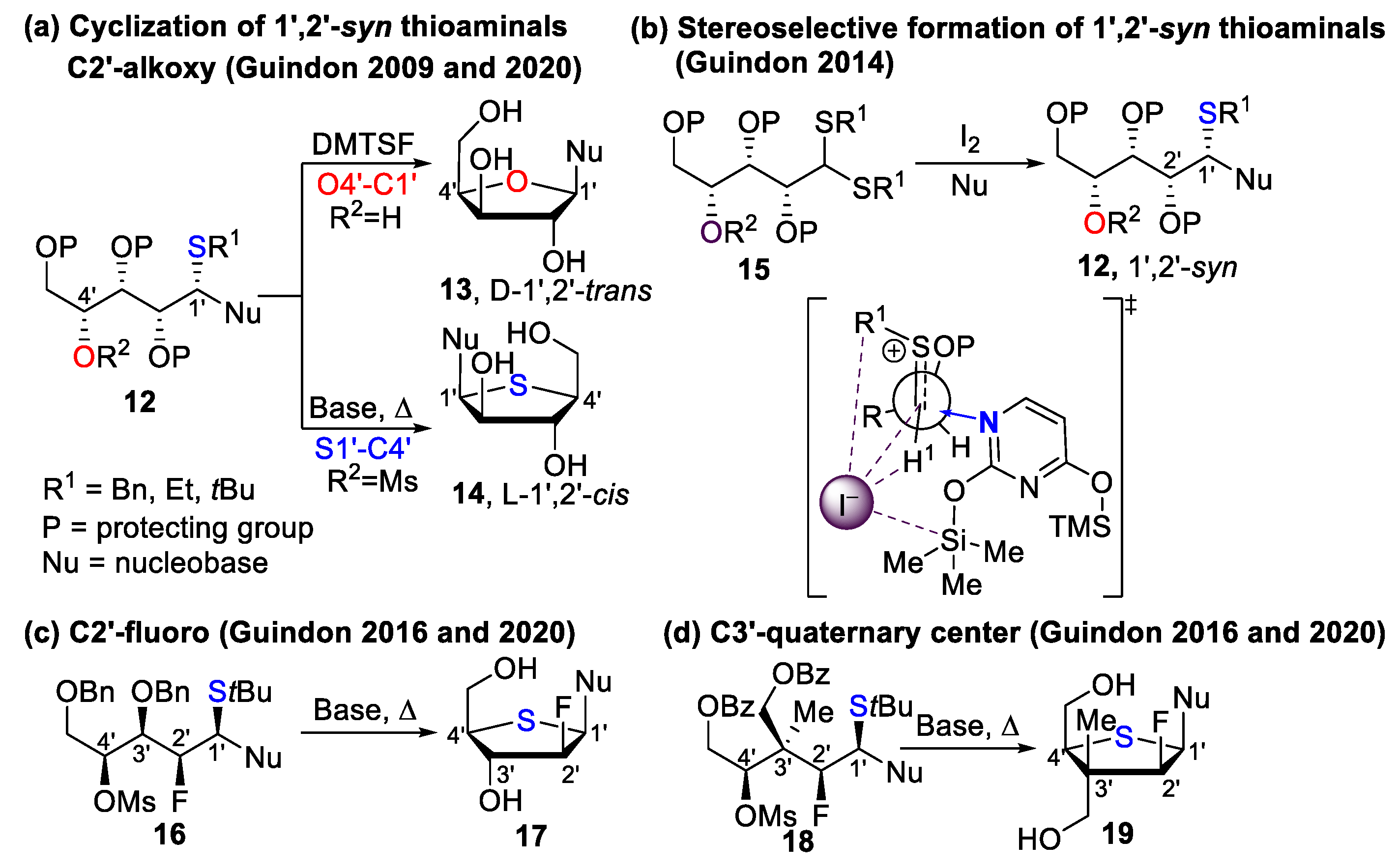 Molecules 29 01647 sch002