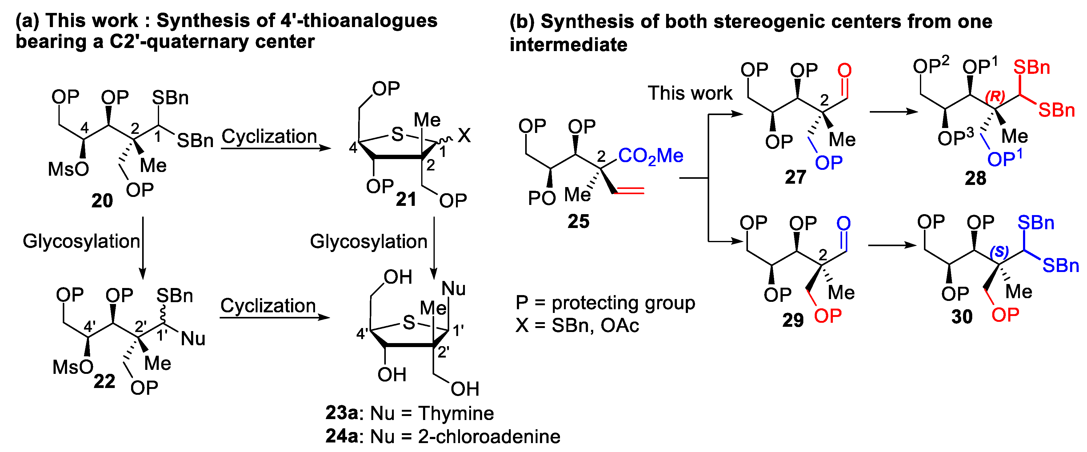 Molecules 29 01647 sch003