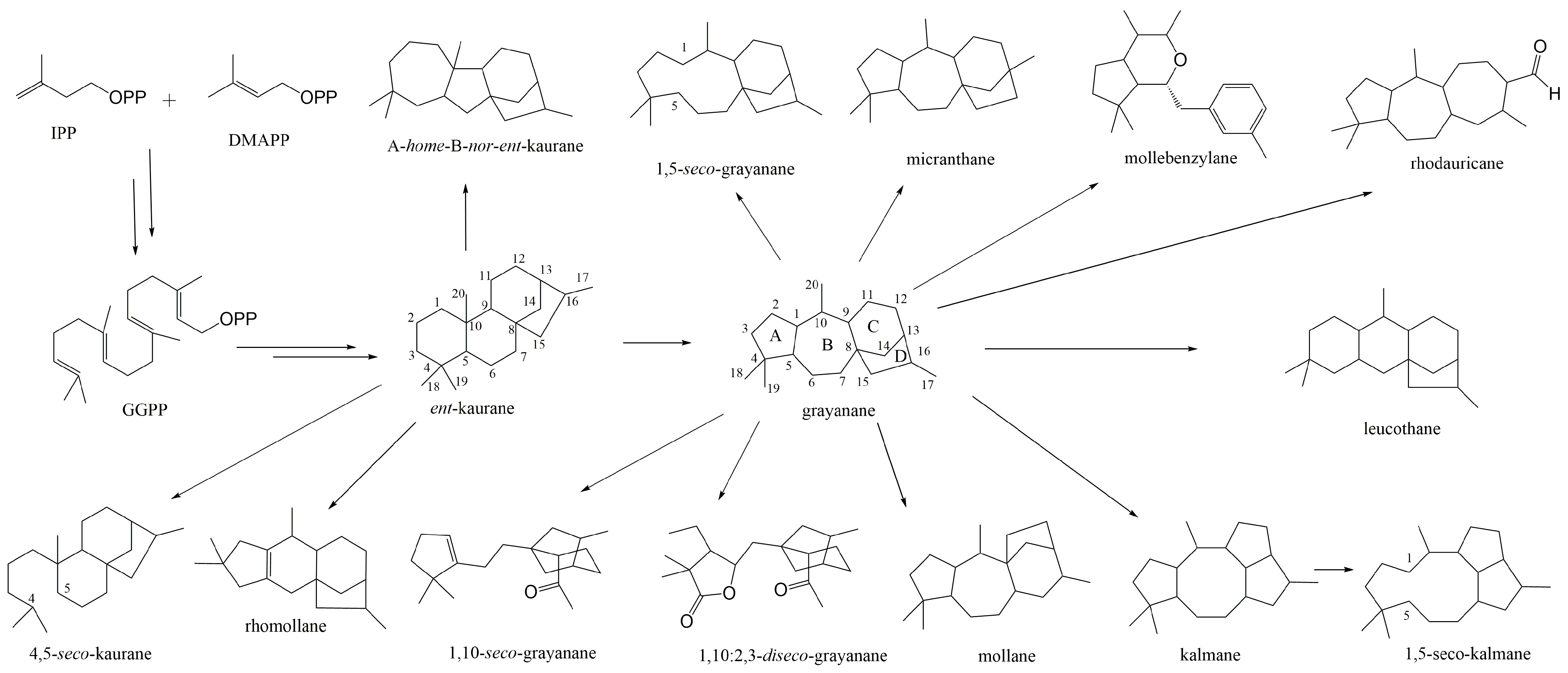 Molecules 29 01649 g001