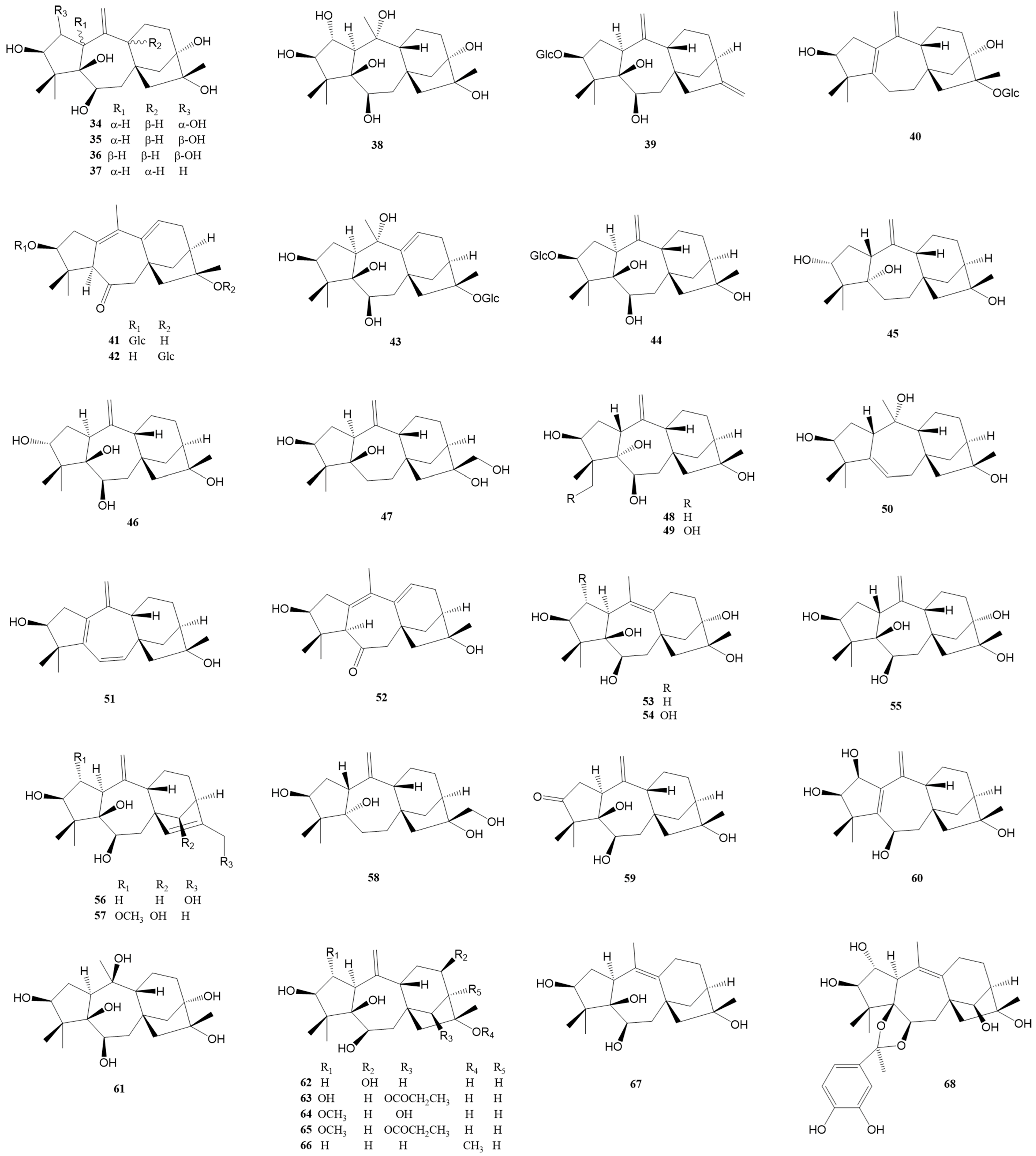 Molecules 29 01649 g003