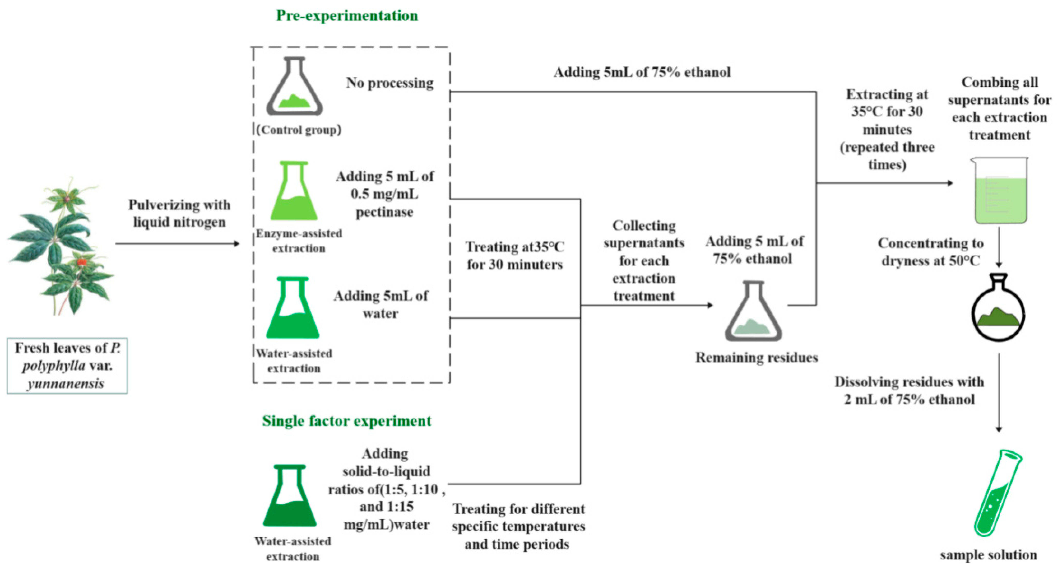 Molecules 29 01652 g007