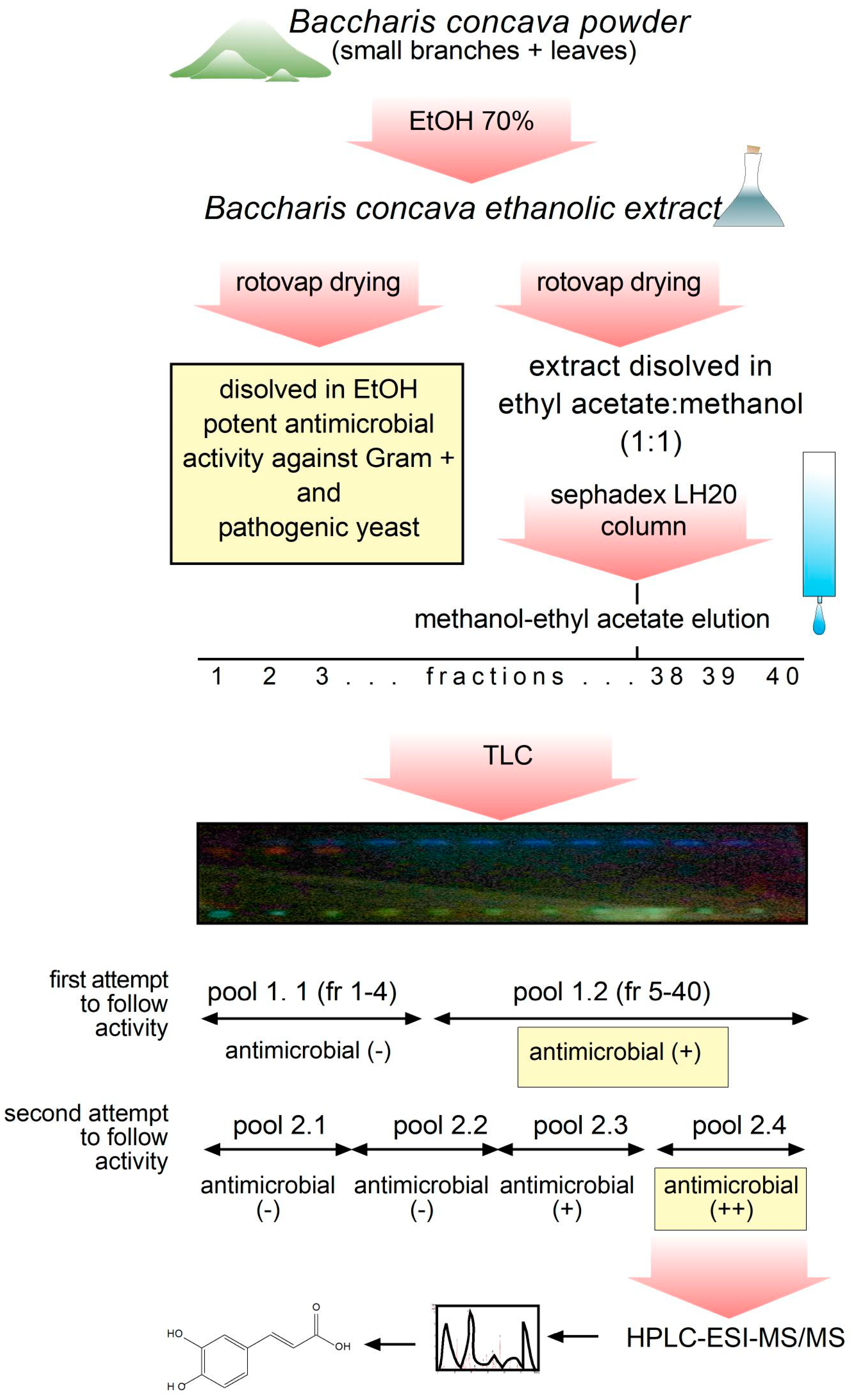 Molecules 29 01654 g002