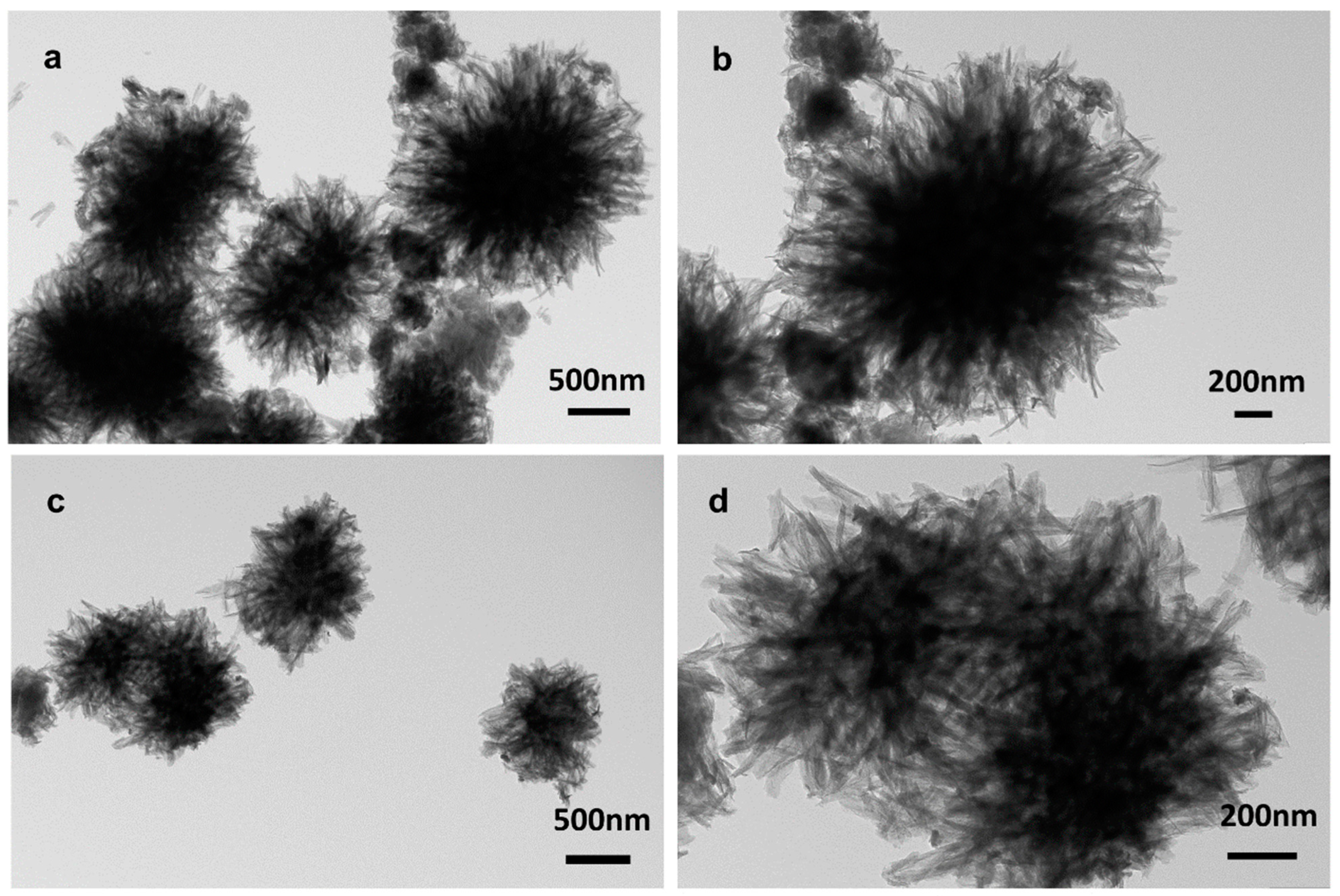 Molecules 29 01656 g001