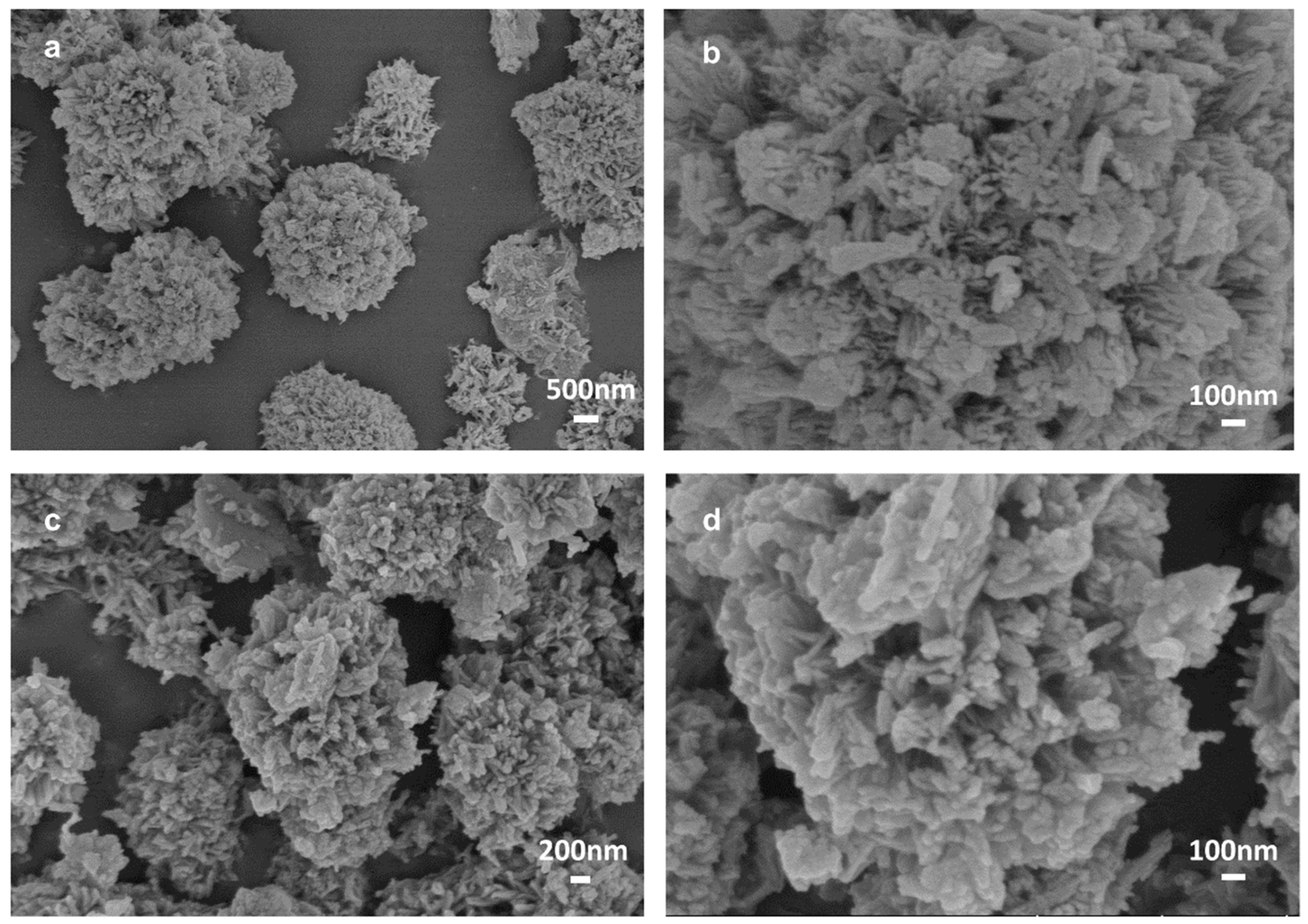 Molecules 29 01656 g002