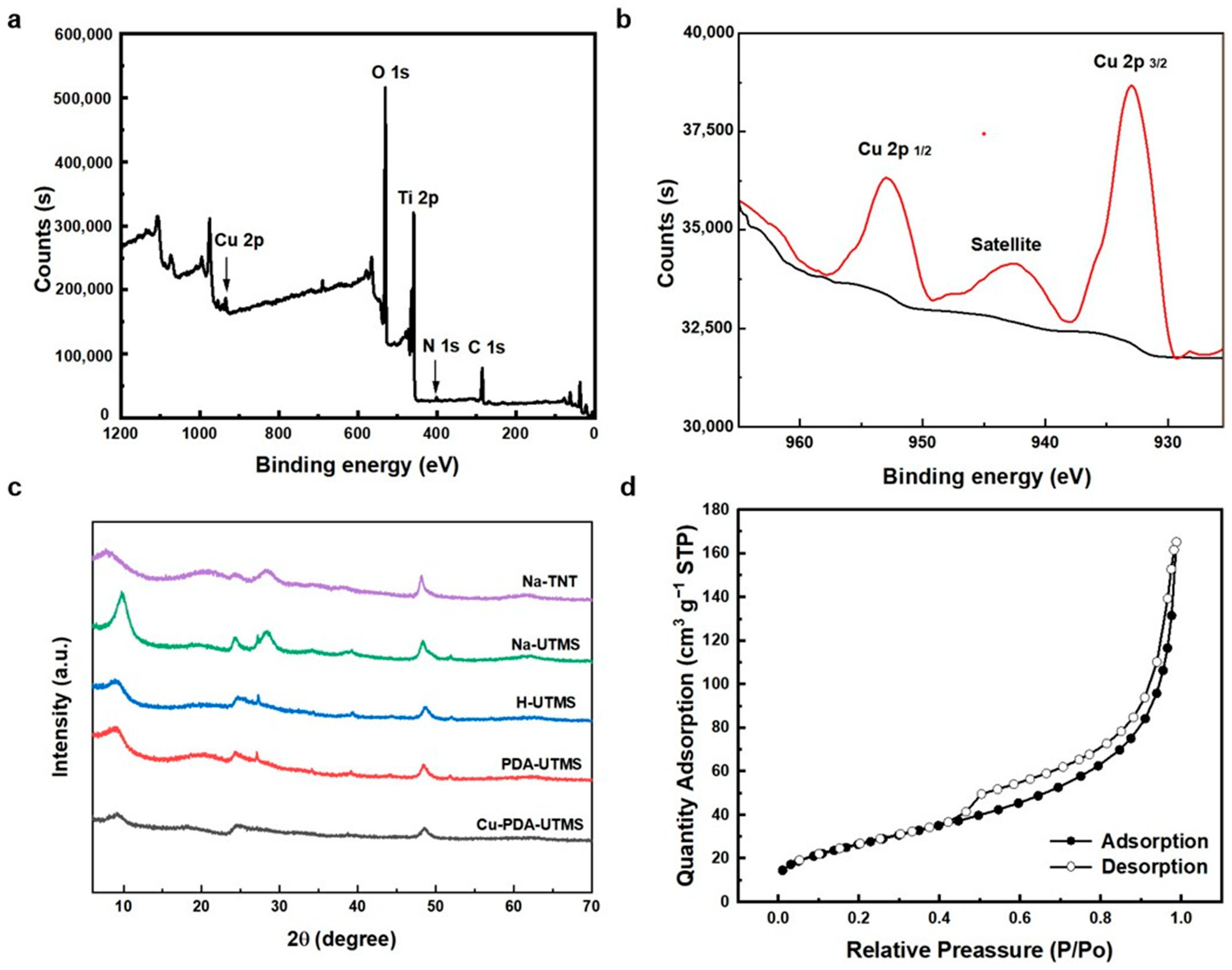 Molecules 29 01656 g003