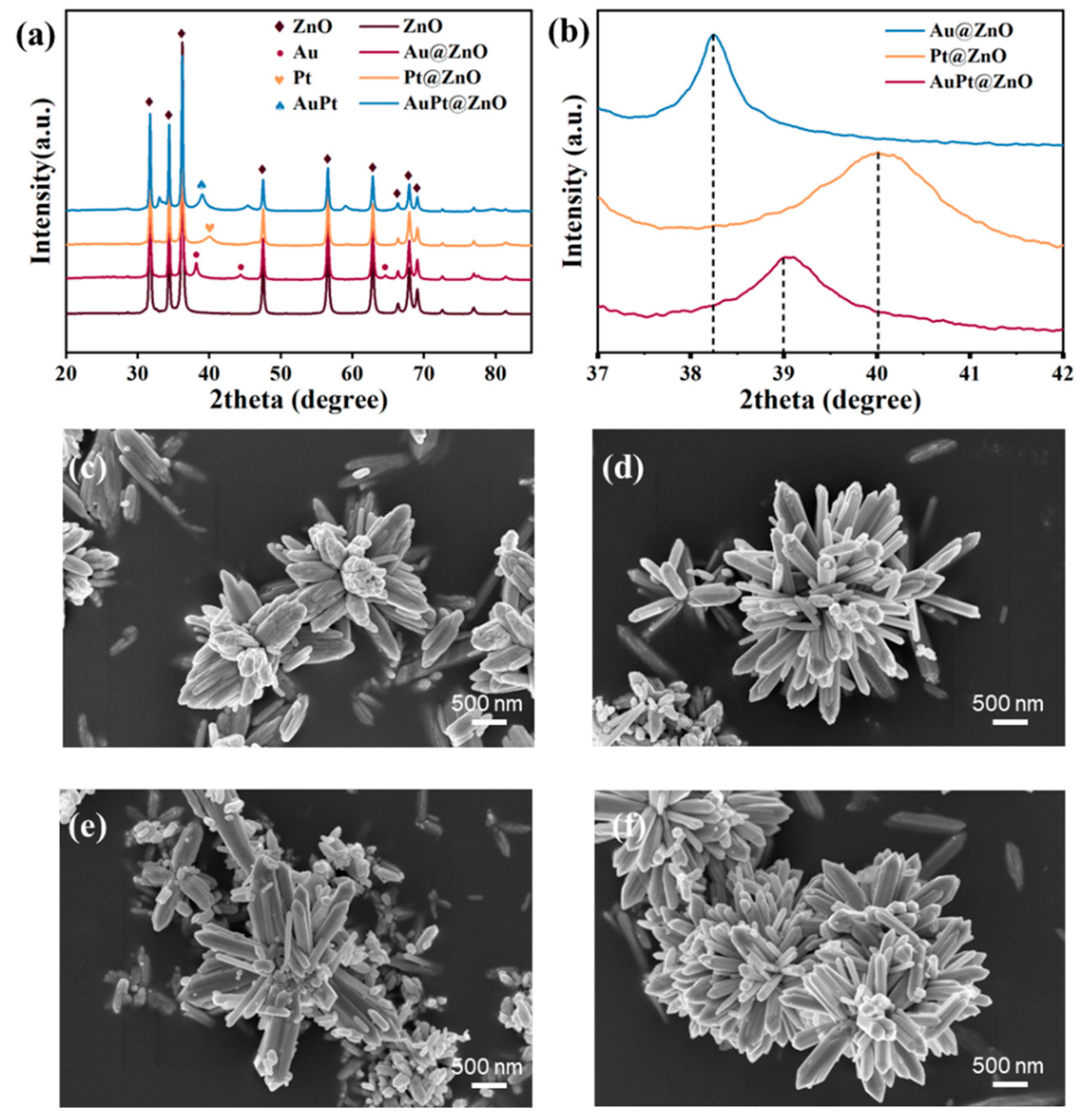 Molecules 29 01657 g001