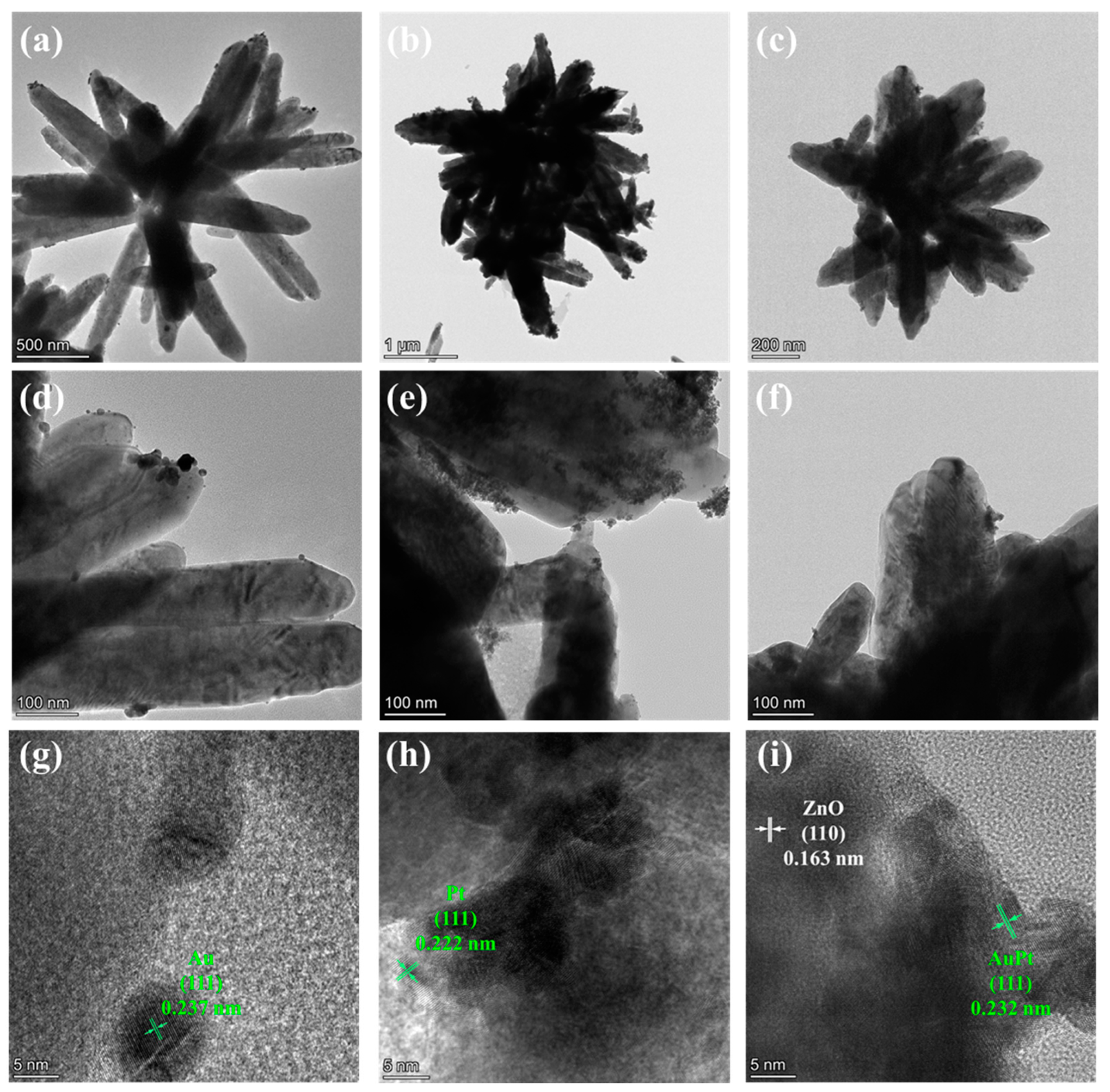 Molecules 29 01657 g002