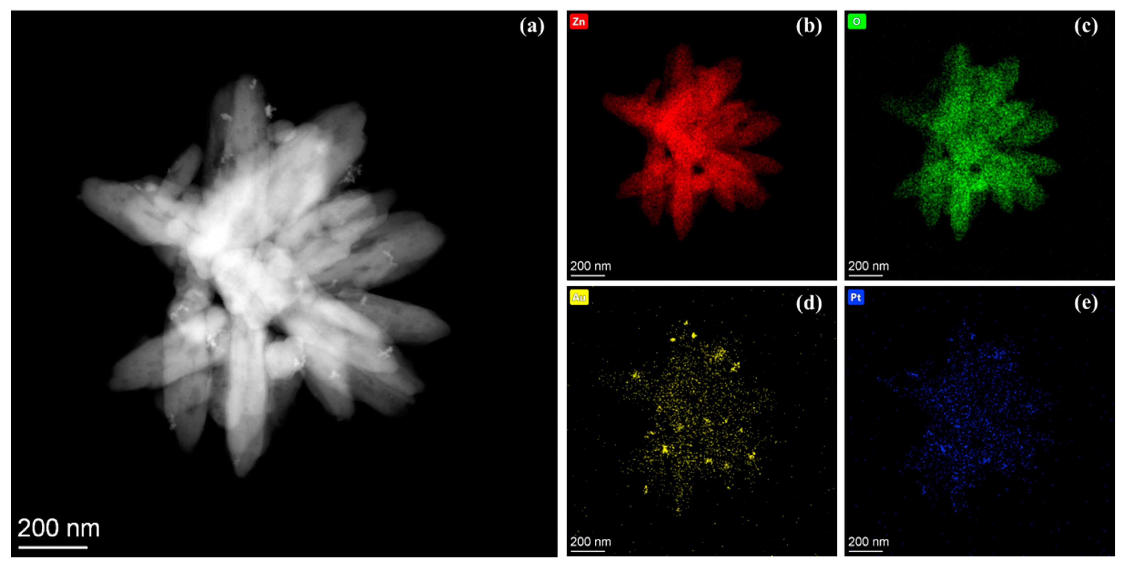 Molecules 29 01657 g003