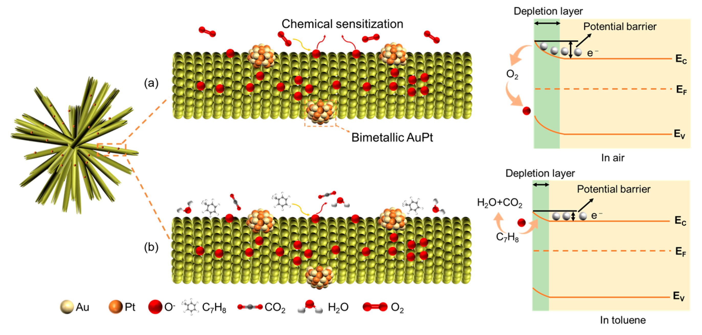 Molecules 29 01657 g008