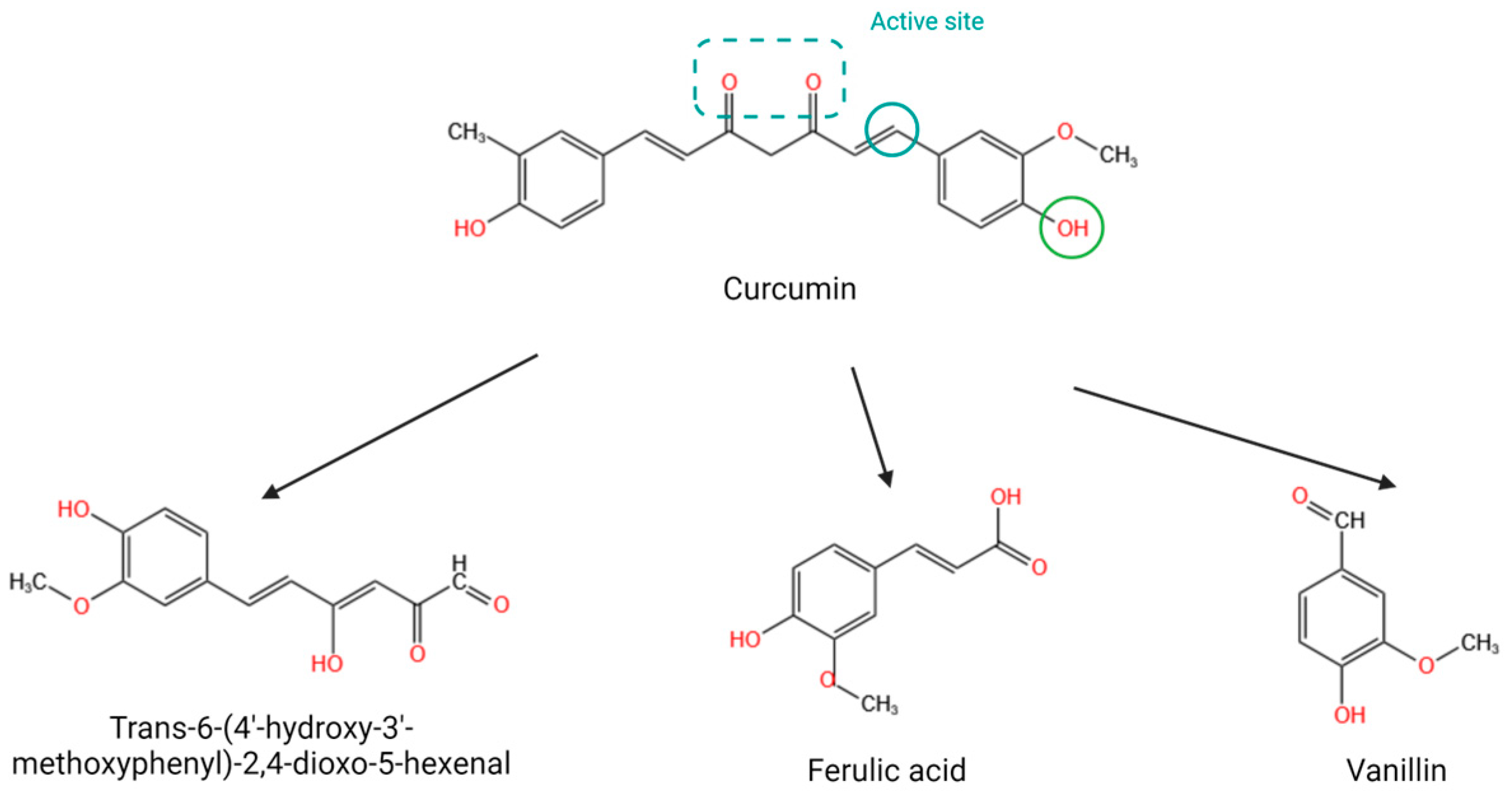 Molecules 29 01659 g001