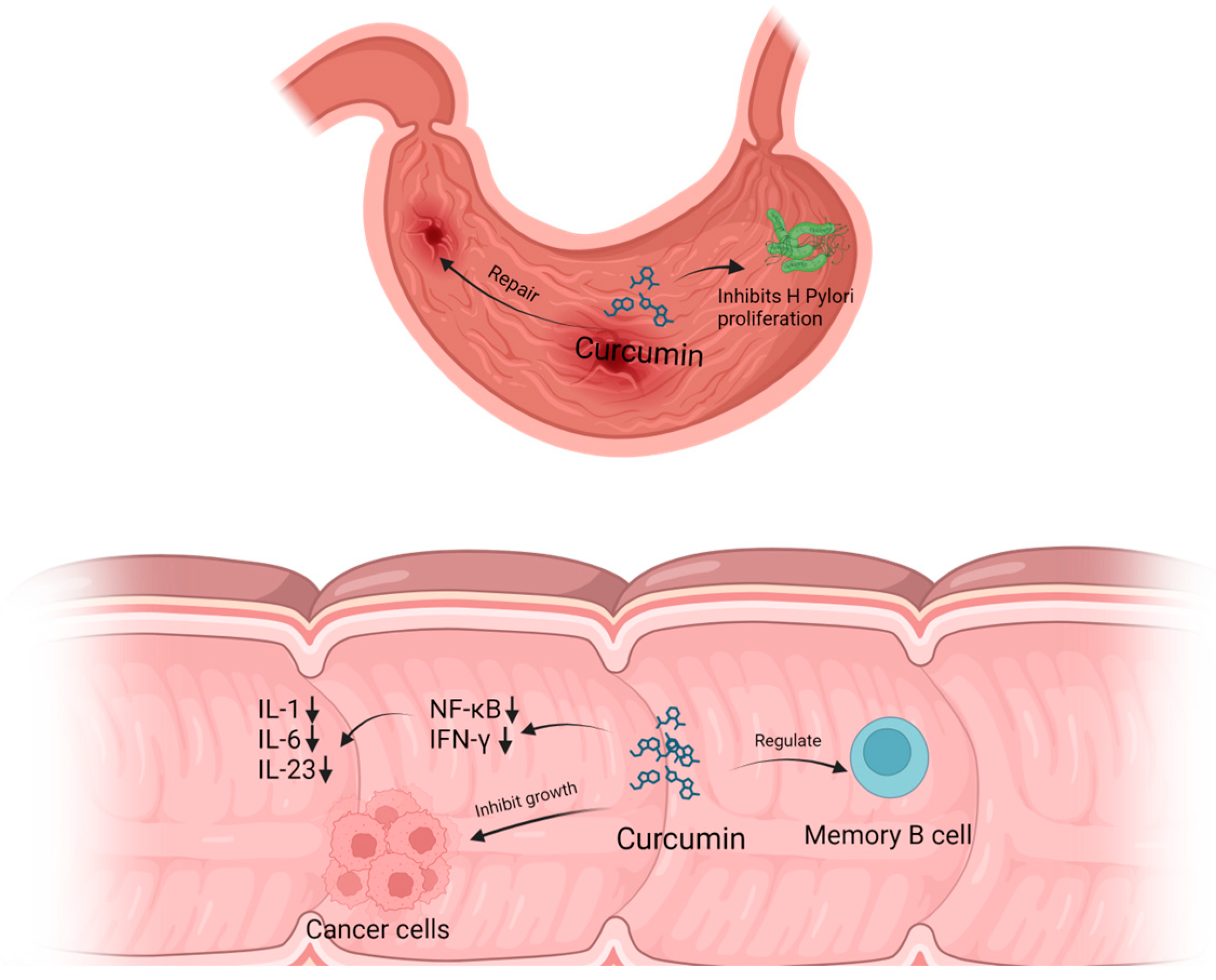Molecules 29 01659 g002