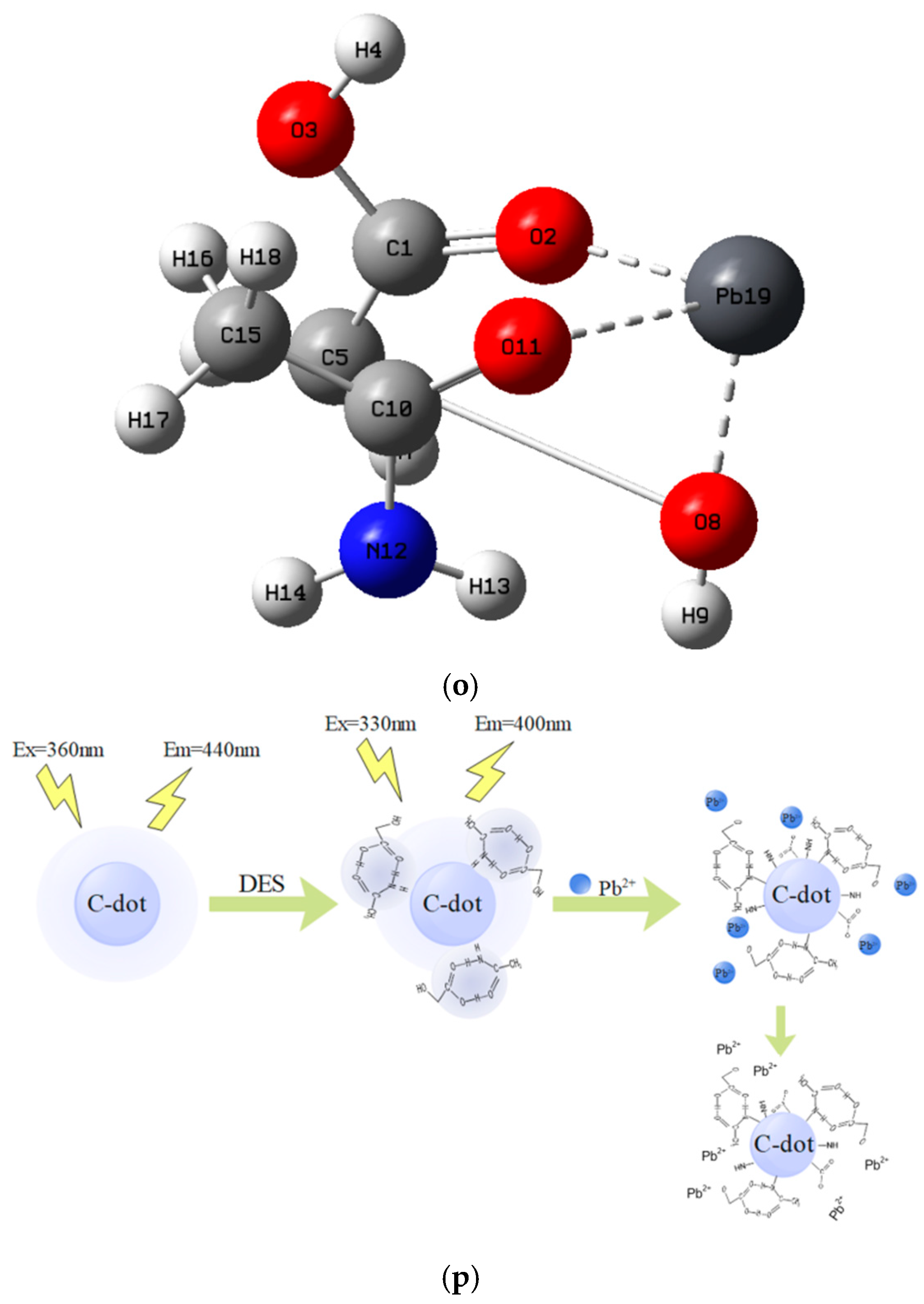 Molecules 29 01662 g002d
