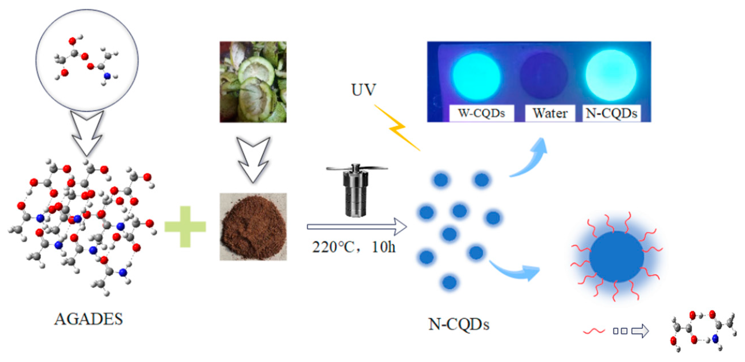 Molecules 29 01662 g003