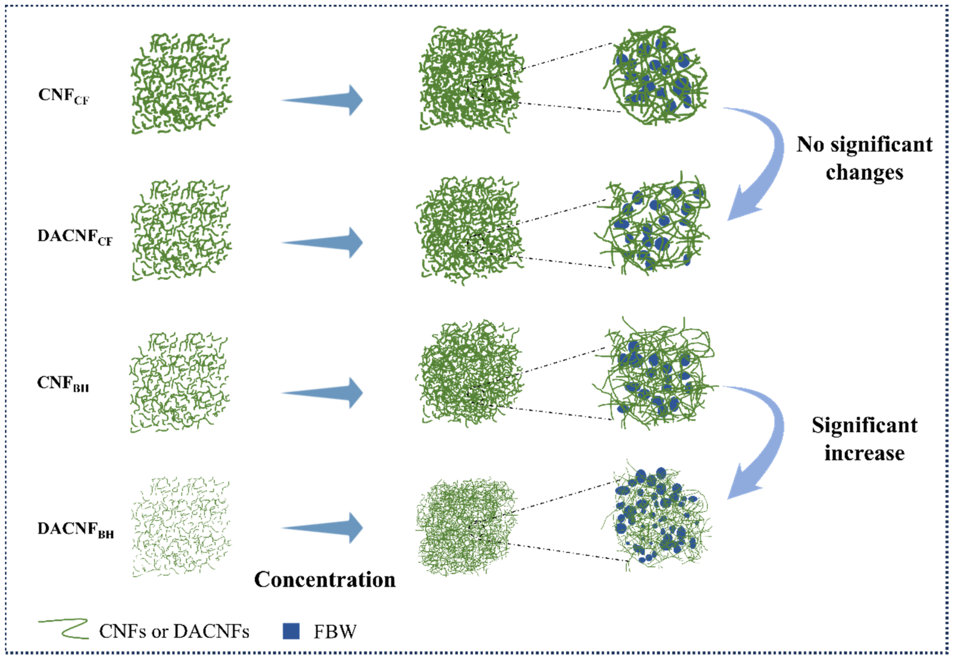 Molecules 29 01664 g004
