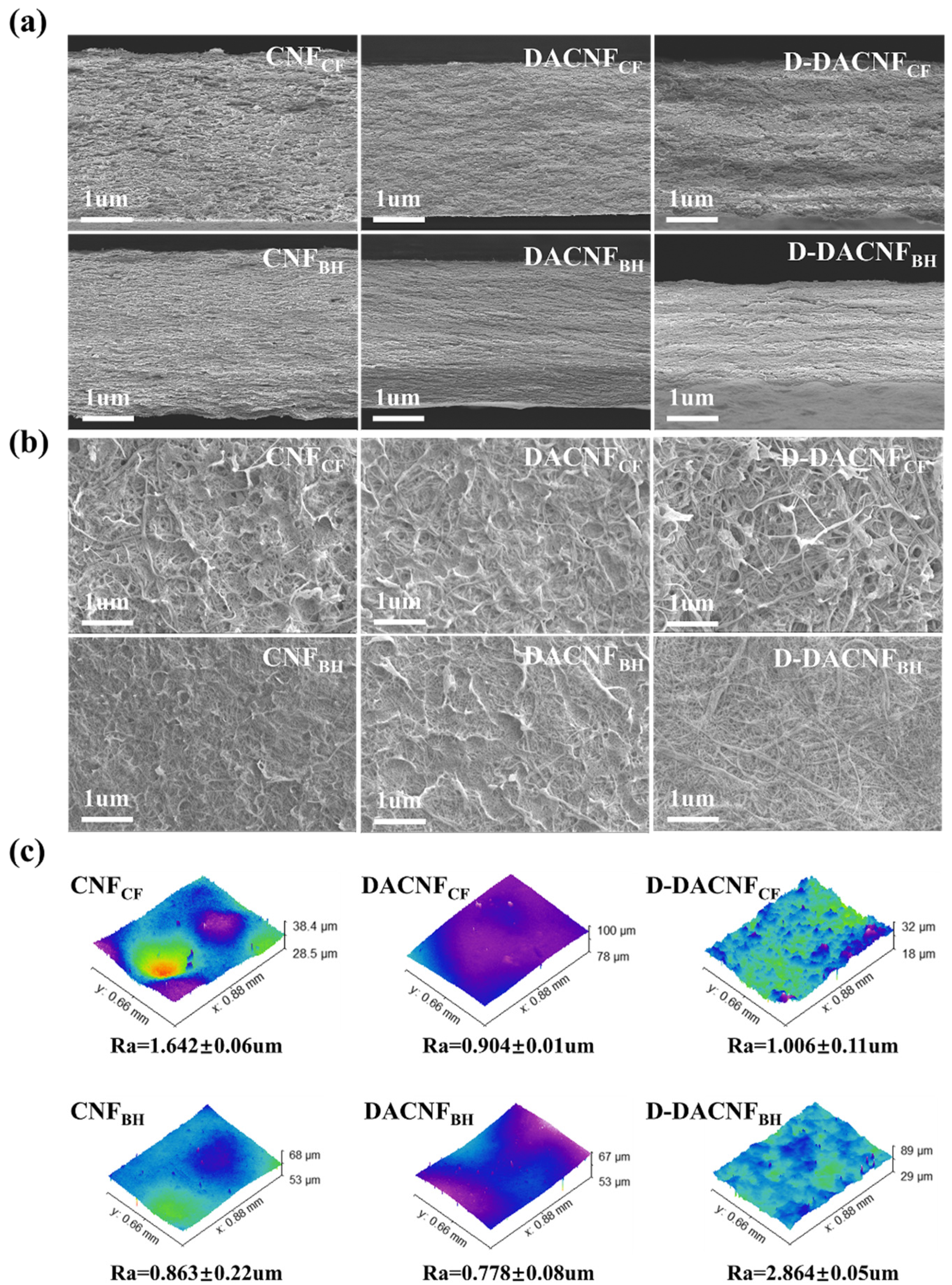 Molecules 29 01664 g005