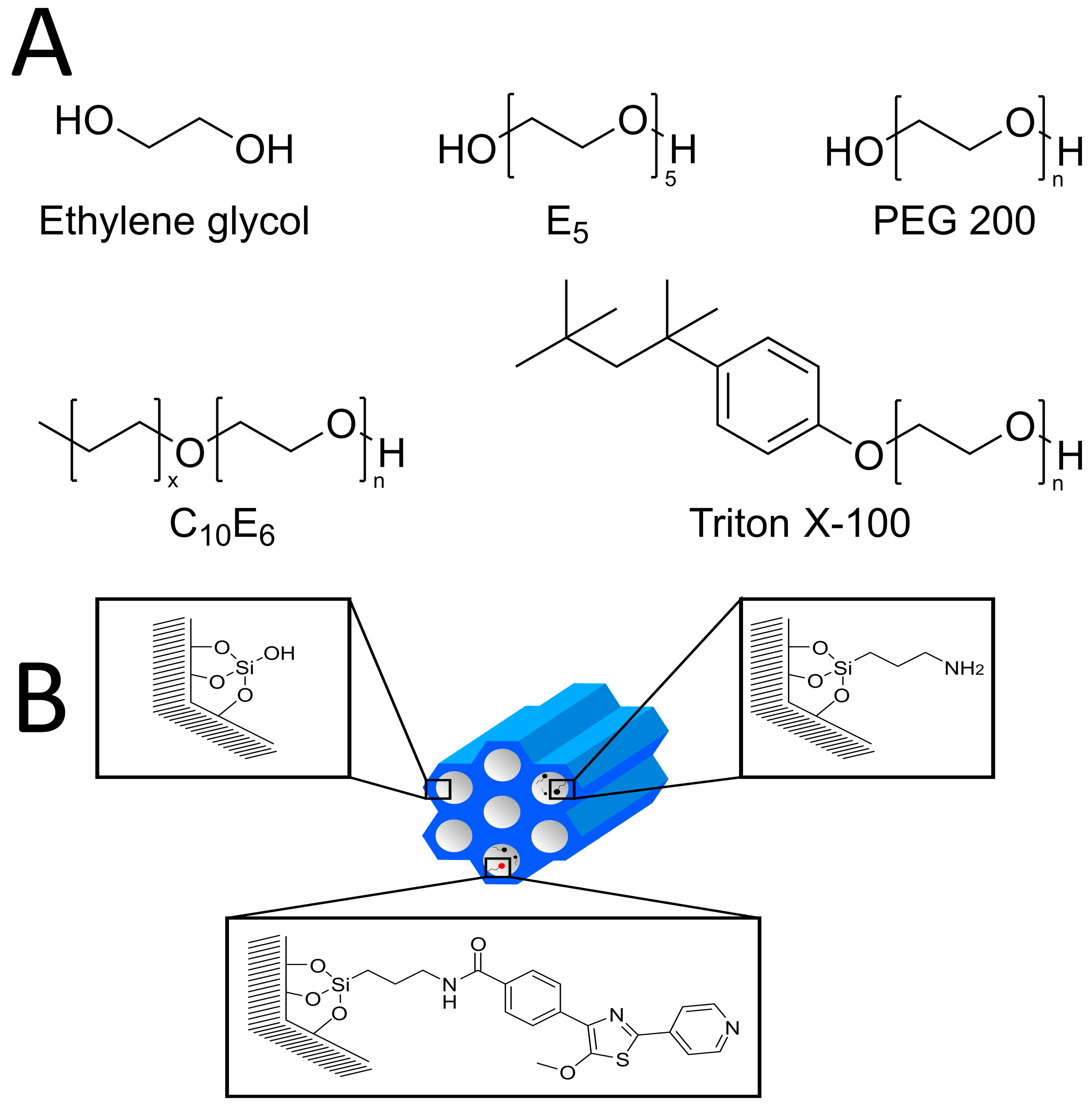 Structures and Dynamics of Complex Guest Molecules in Confinement 